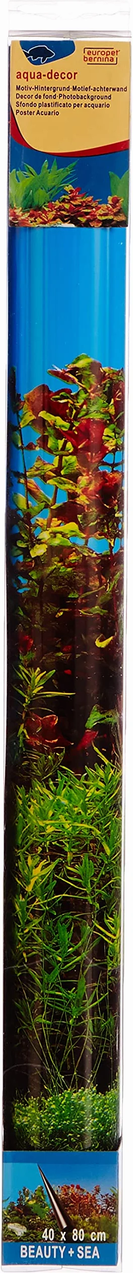 Bernina fototapeta 80 x 40 cm motyw piękna i morza