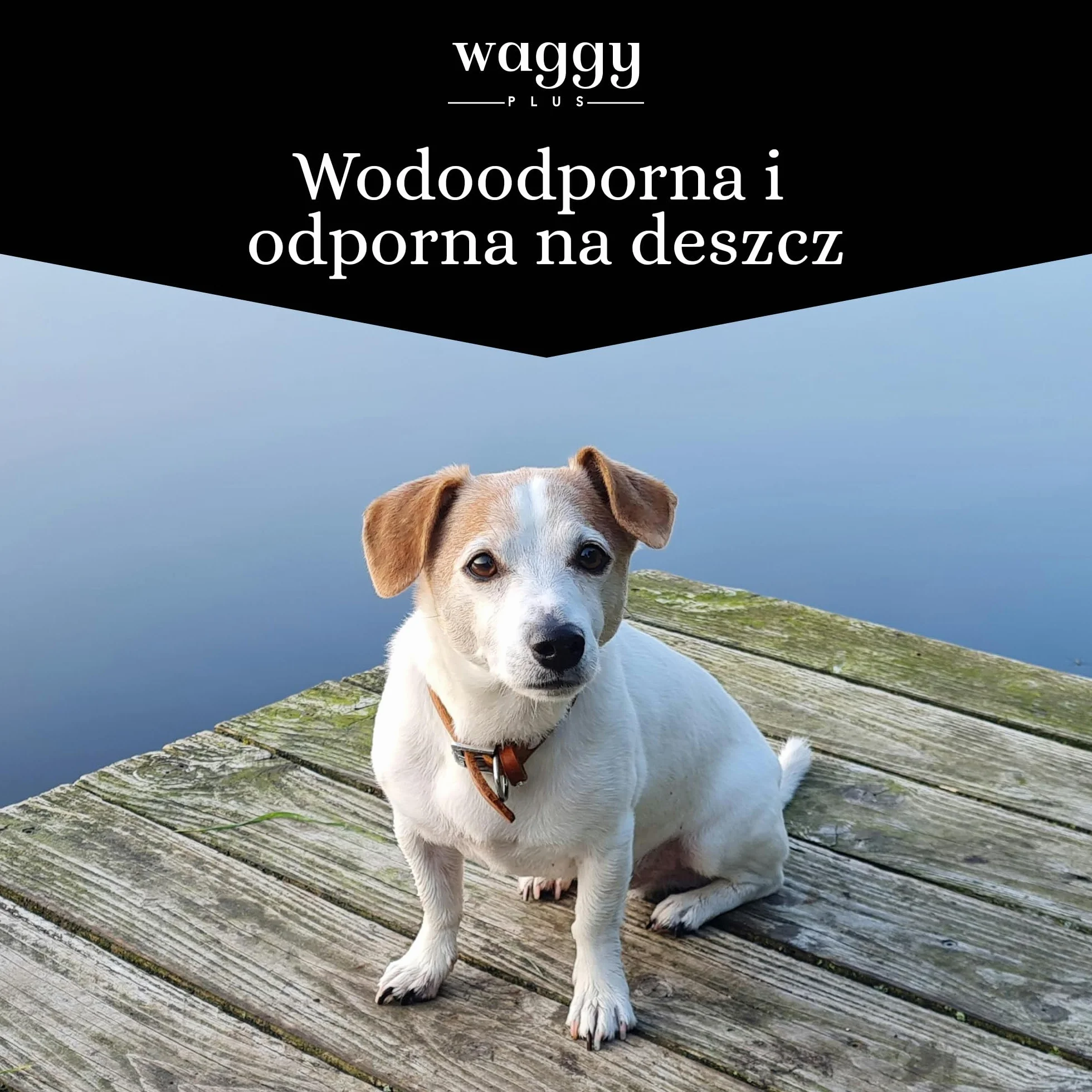 Obro탉a przeciw paso탉ytom dla 힄rednich i ma흢ych ps처w. Skuteczna ochrona Twojego zwierzaka przed pch흢ami, kleszczami, larwami, wszy i komarami. 100% naturalna.