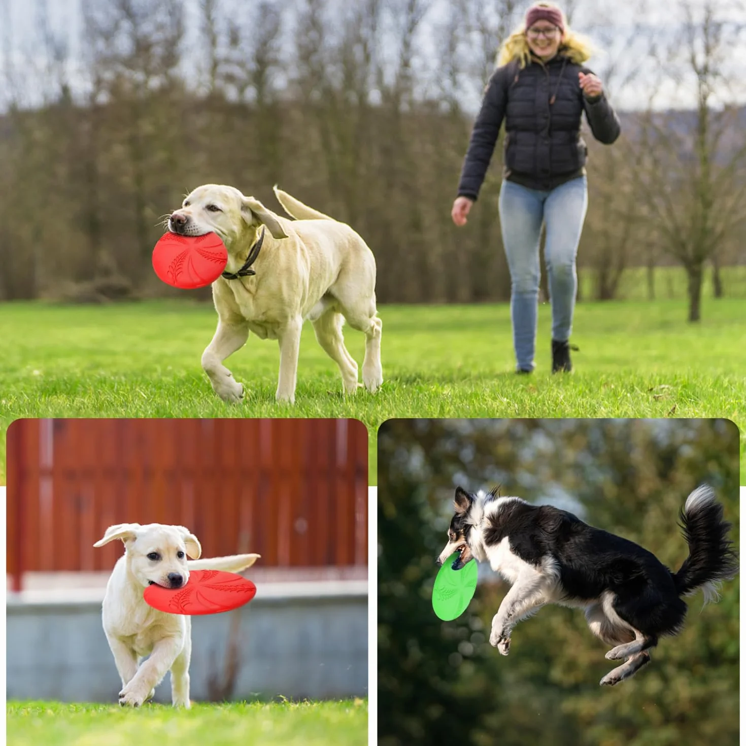 Nobleza Frisbee dla psa latający dysk zabawka interaktywna 2 szt. czerwony zielony