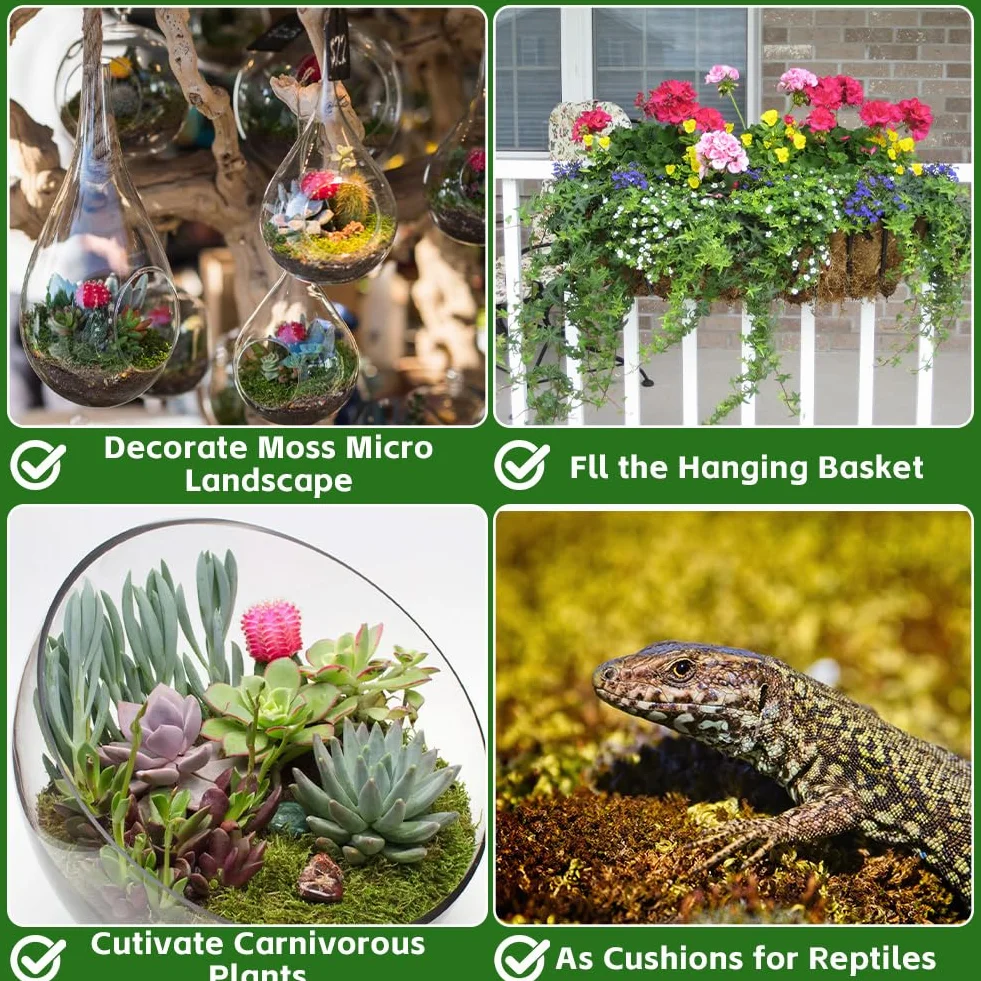 ãOFFCUP 500 g premium mchu torfowcowego do terrarium, naturalny mech terrarium, cegła do gadów, torfowca, do storczyków, roślin mięsożernych, sukulentów, kwiatów ogrodowychÓ