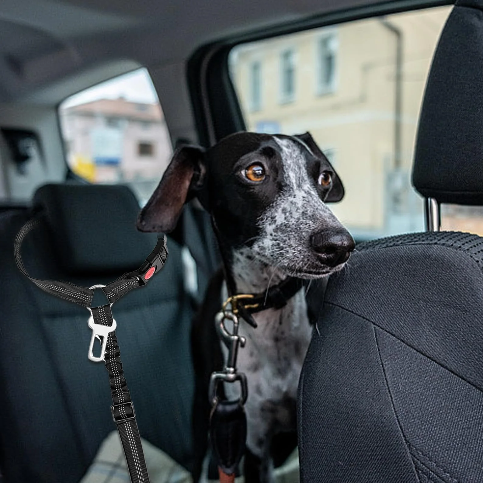 Pas bezpieczeństwa dla psa, z elastyczną uprząż bezpieczeństwa dla psów, regulowana uprząż bezpieczeństwa dla małych psów, średniej wielkości (czarna)