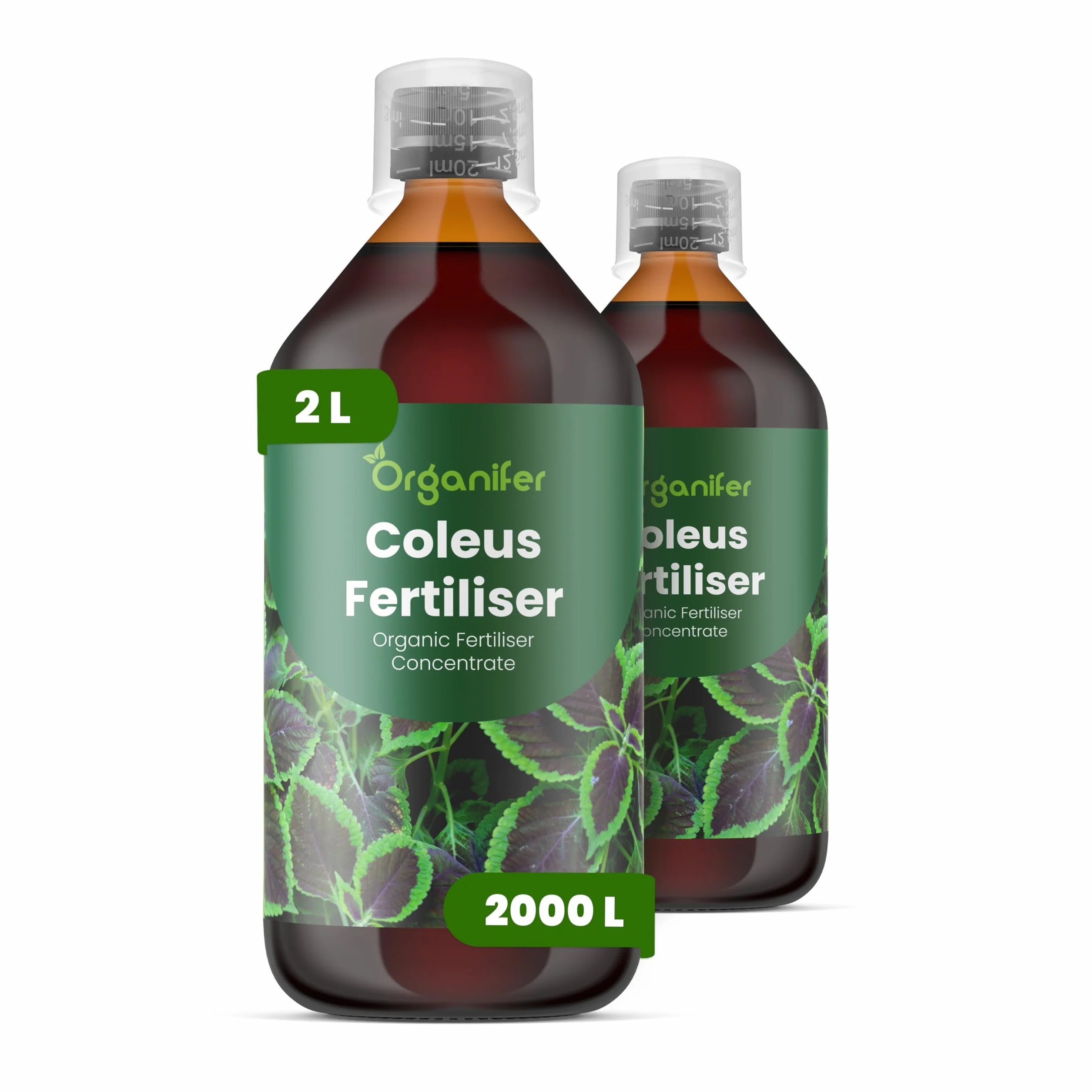 Koleus Nawóz Płynny 2x1L – Organiczny nawóz płynny do roślin dla zdrowych liści i intensywnych kolorów – Wspiera korzenie i witalność – Organifer