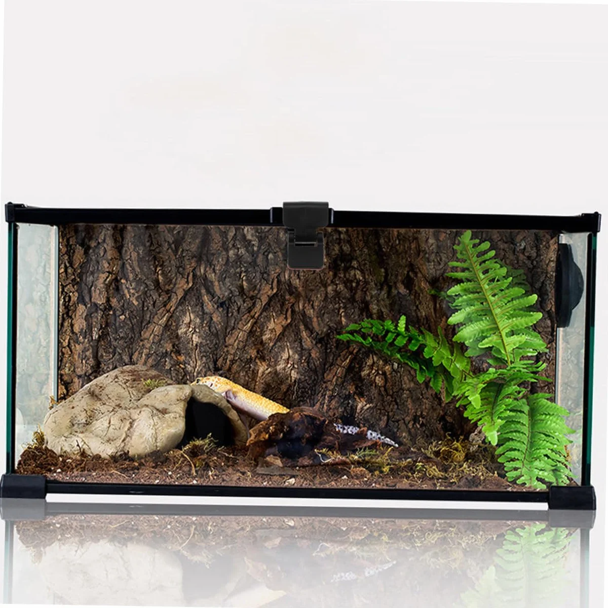 6Kawałki Sztuk Do Terrarium dla Żółwi Plastikowe Zapięcia Do Zbiorników dla Gadów Akcesoria Do Akwarium Łatwe Instalacji Zabezpieczenie przed Ucieczką