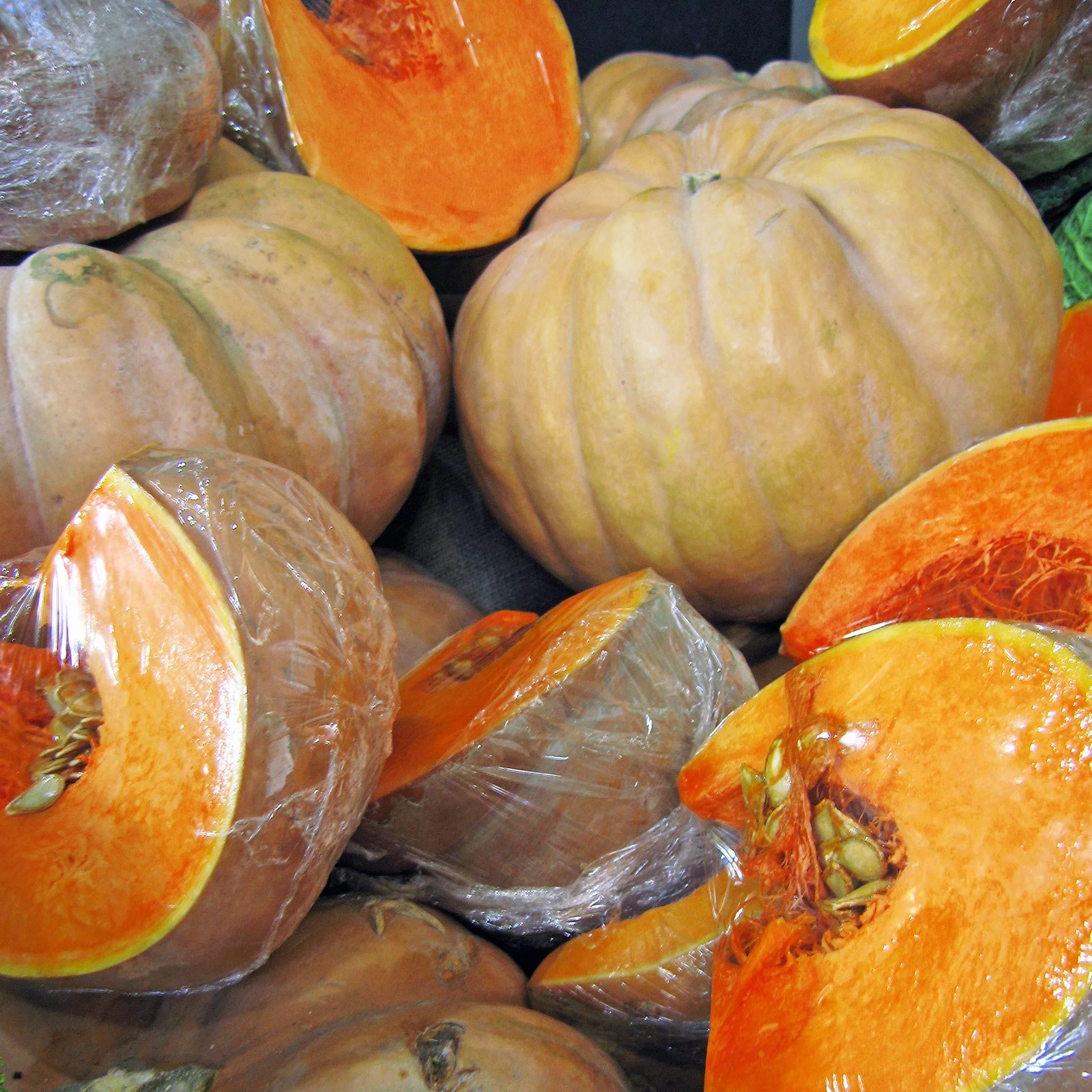 Francuska dynia muszkatołowa "Muscade de Provence" (Cucurbita moschata) ok. 10 nasion