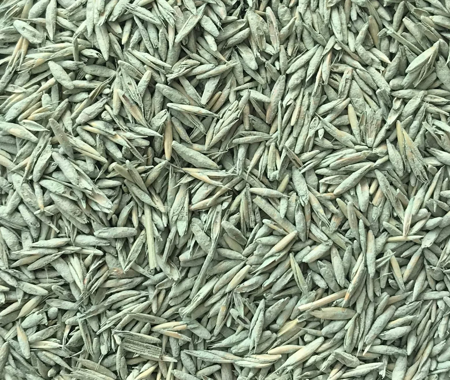 Mieszanka nasion Substral do nasion, matryca do 20 m² – 400 g