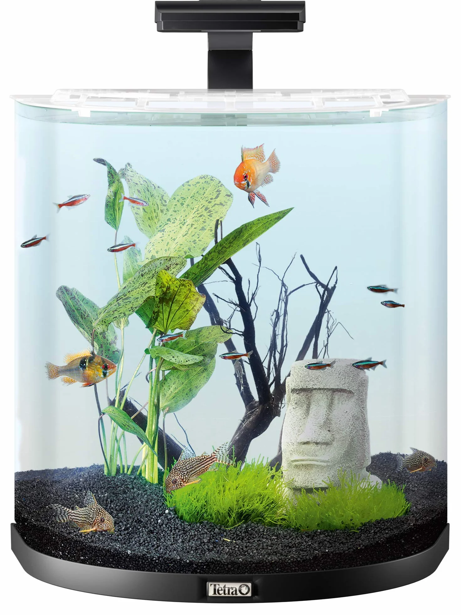 Tetra 236868 Zestaw do Akwarium z Oświetleniem LED Filterm i Ogrzewaniam, 60 l, Czarny