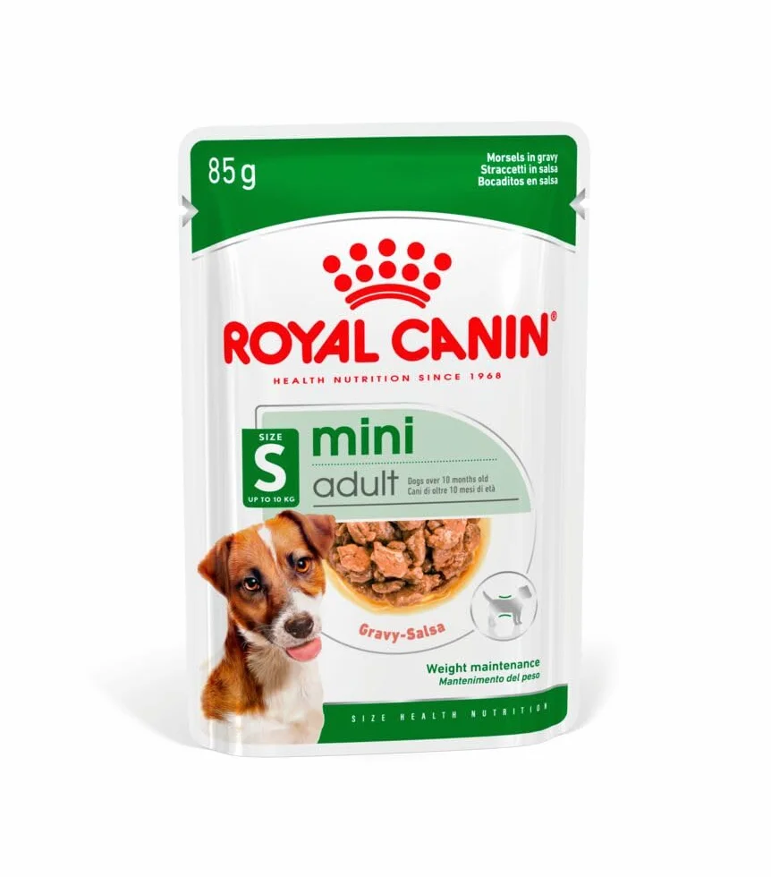 Royal Canin Mini Adult in Sauce | Podwójne opakowanie | 2 x 12 x 85 g | Mokra karma dla małych, dorosłych psów (od 1 do 10 kg) | Od 10 miesięcy do 12 lat | Dostosowana zawartość energii