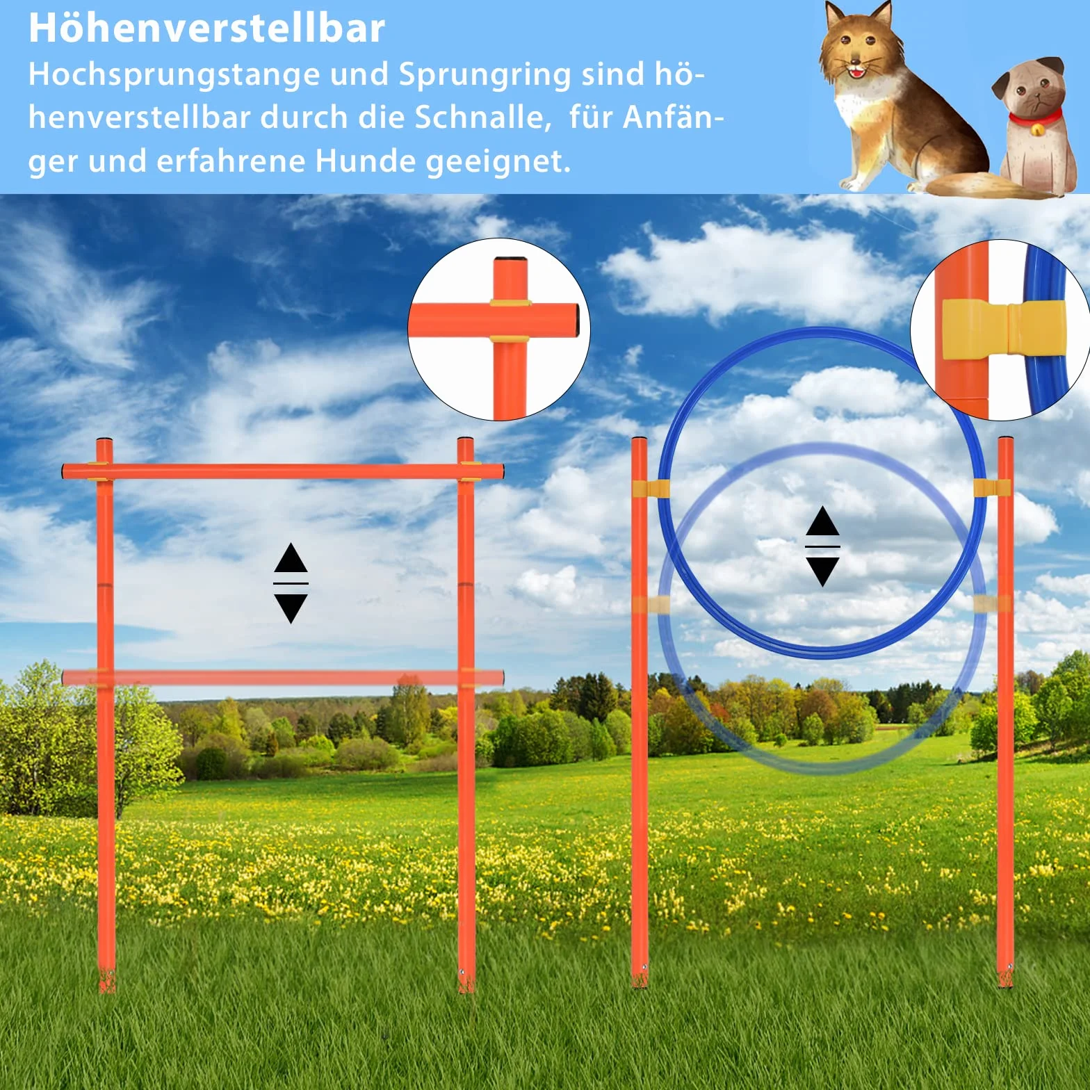 FIVMEN Agility zestaw treningowy dla psów z przeszkodą, kółkiem, tunelem, drążkami slalomowymi