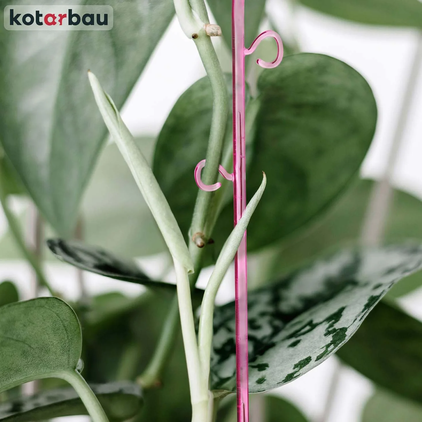 KOTARBAU® Zestaw 4 podpórek do roślin, różowy, PCW, 58 cm, podpórka do roślin pokojowych, do ogrodu, orchidei, podpórka do roślin, dekoracyjny uchwyt na rośliny, rośliny pokojowe