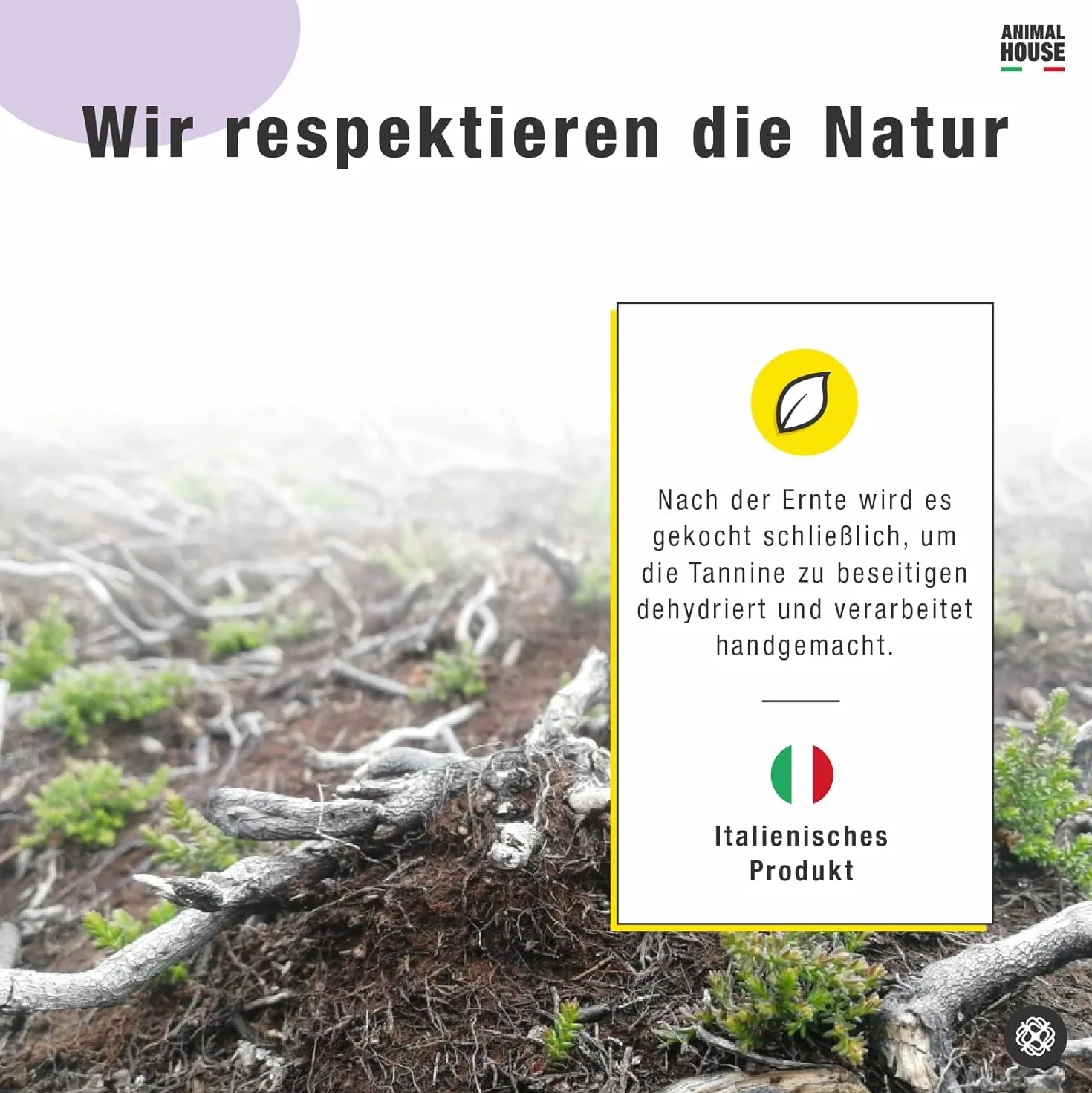 Korzeń wrzosu dla psów Naturalne żucie Antystresowy Odporne i trwałe (S)