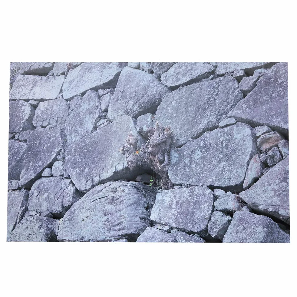 Samoprzylepne tło do akwarium 3D 61x30cm naklejka ścienna