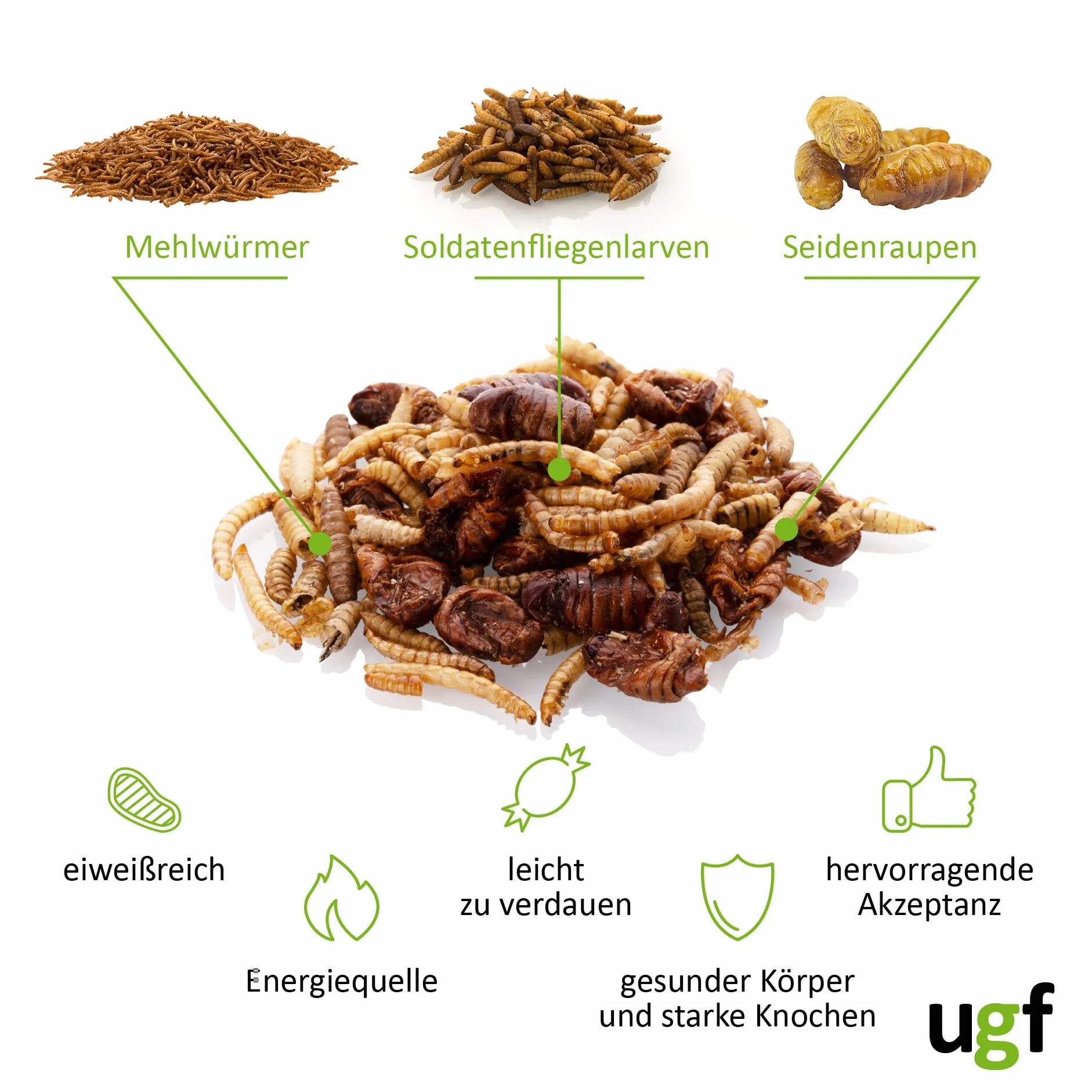 UGF - Mieszanka owadów - 500 g w wiadrze 3-litrowym, pokarm dla jeży, pokarm dla myszoskoczków, chomików, szczurów, jaszczurek - mączniki, larwy muchy żołnierskiej, jedwabniki