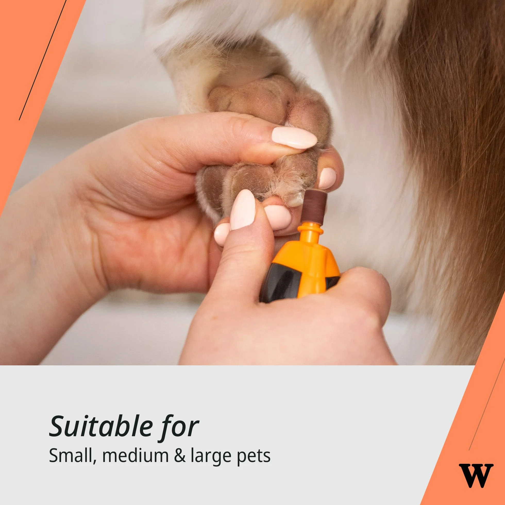 WAHL Szlifierka do Pazurów Pet Nail Grinder - Narzędzie do Przycinania Pazurów u Zwierząt Domowych, Cicha, Lekki Pilniczek do Pazurów Psów, 2 Ustawienia Prędkości, Bezpieczna i Delikatna, Pomarańczowa