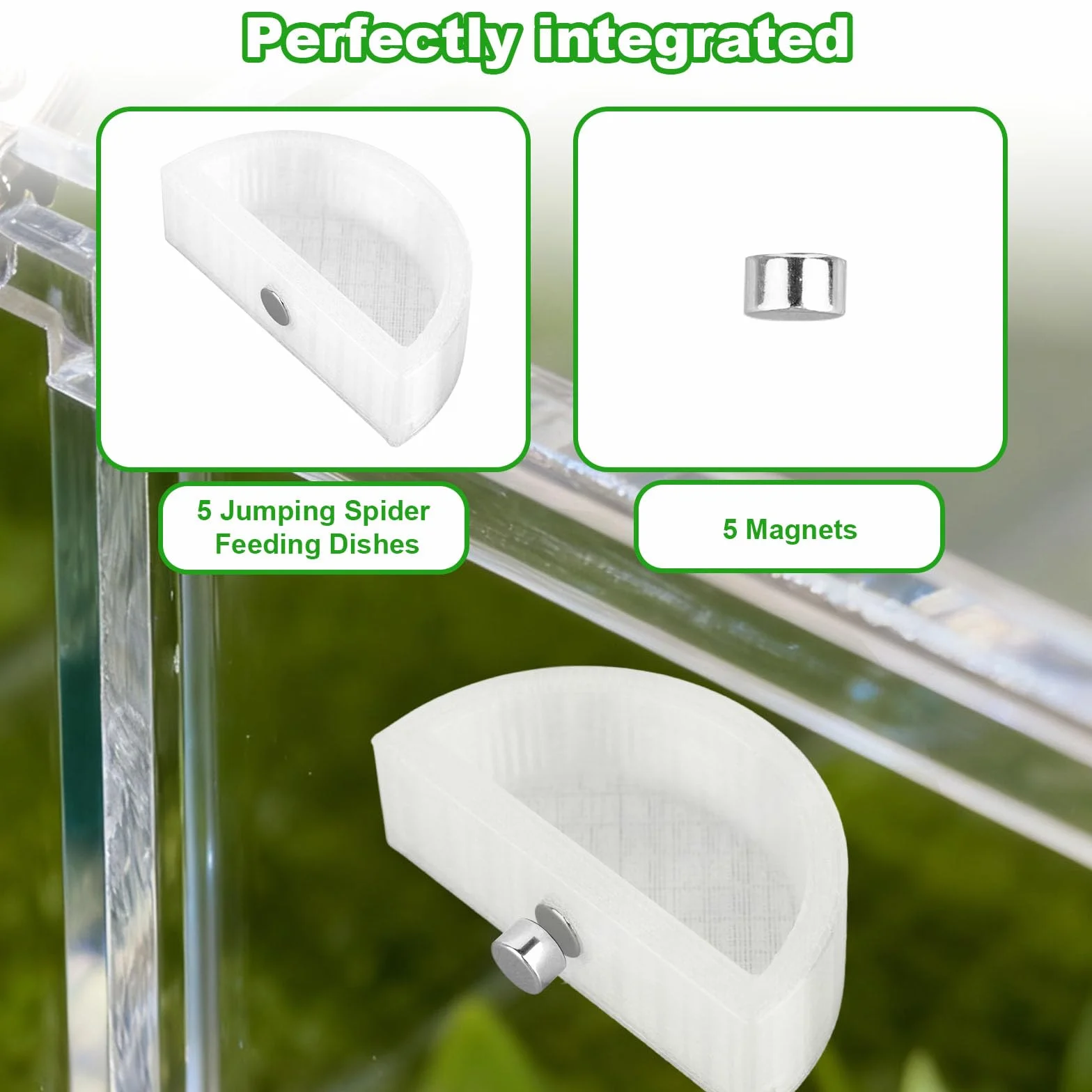 Magnetyczny Półokrągły Karmnik dla Pająków Skaczących Miseczka na Wodę Szczelna Akcesoria do Terrarium