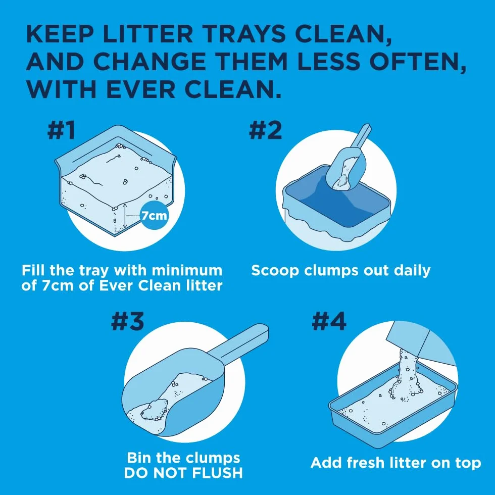 Ever Clean Kuweta dla kota żwirek bezzapachowy 10 l