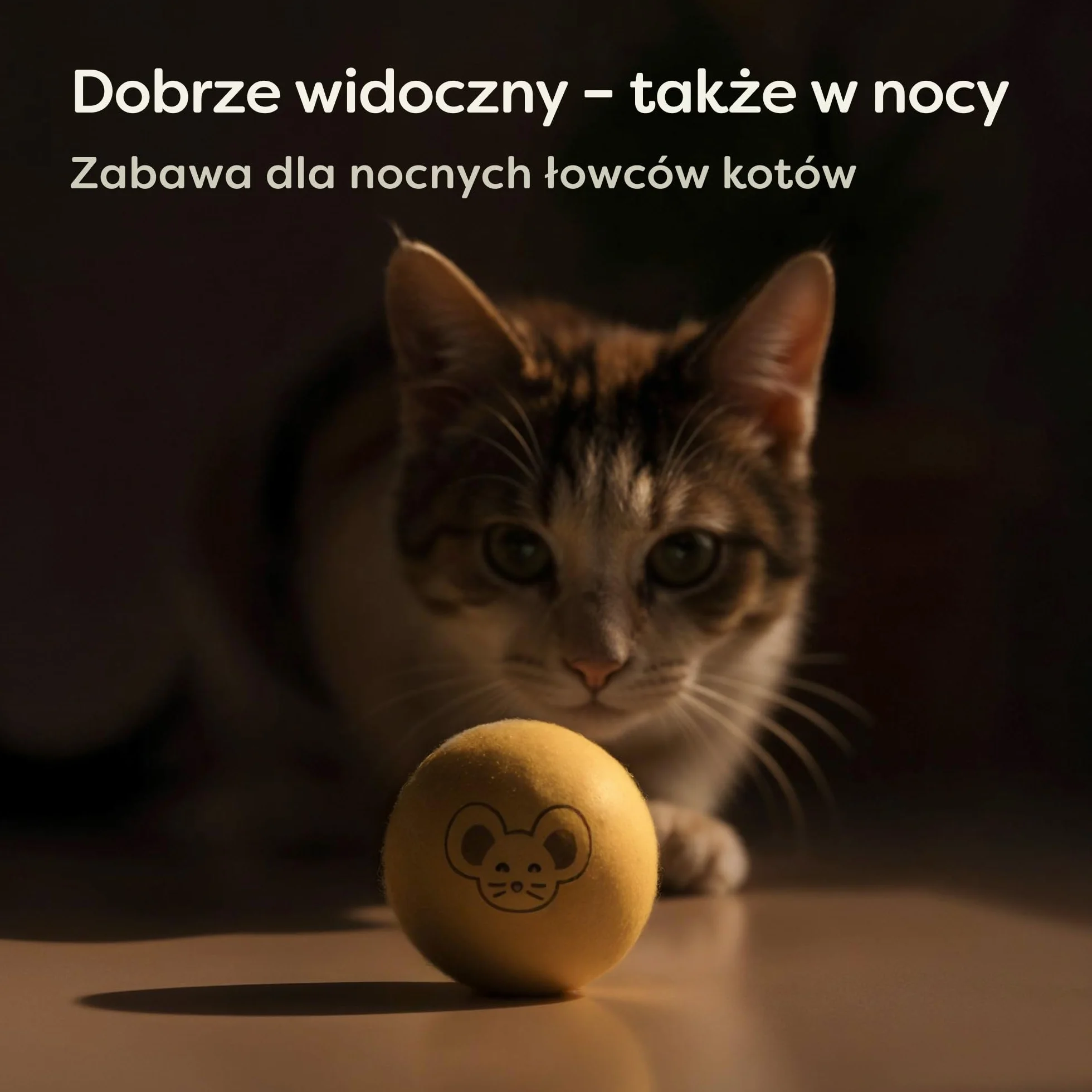 Knupis filcowe kulki dla kota 6 kulek z wełny ekologiczna zabawka w jasnych kolorach torba do przechowywania