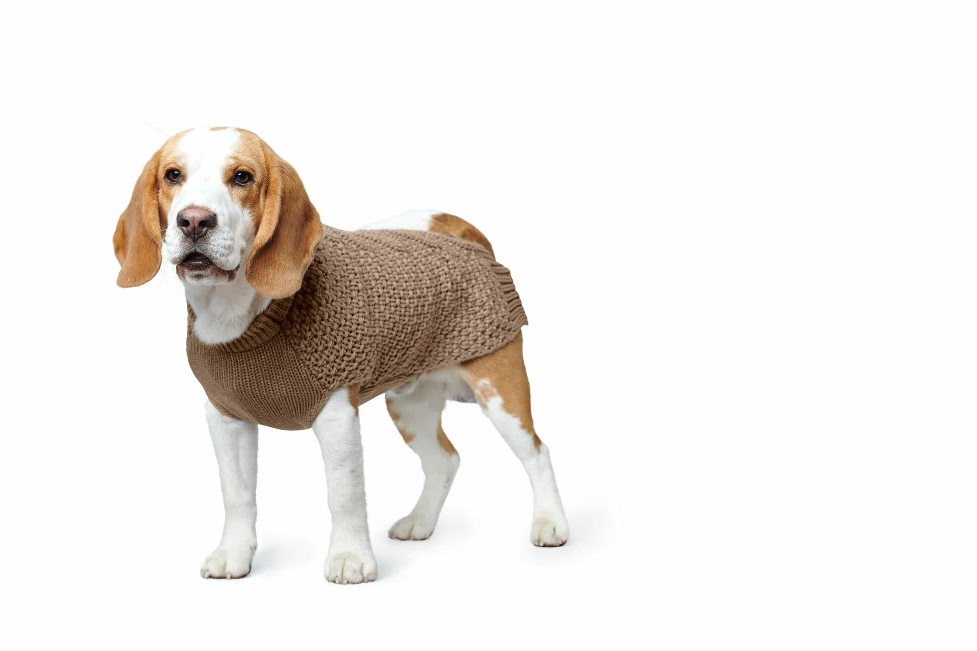 HUNTER Malmo Sweter dla psa, 40 cm, beżowy