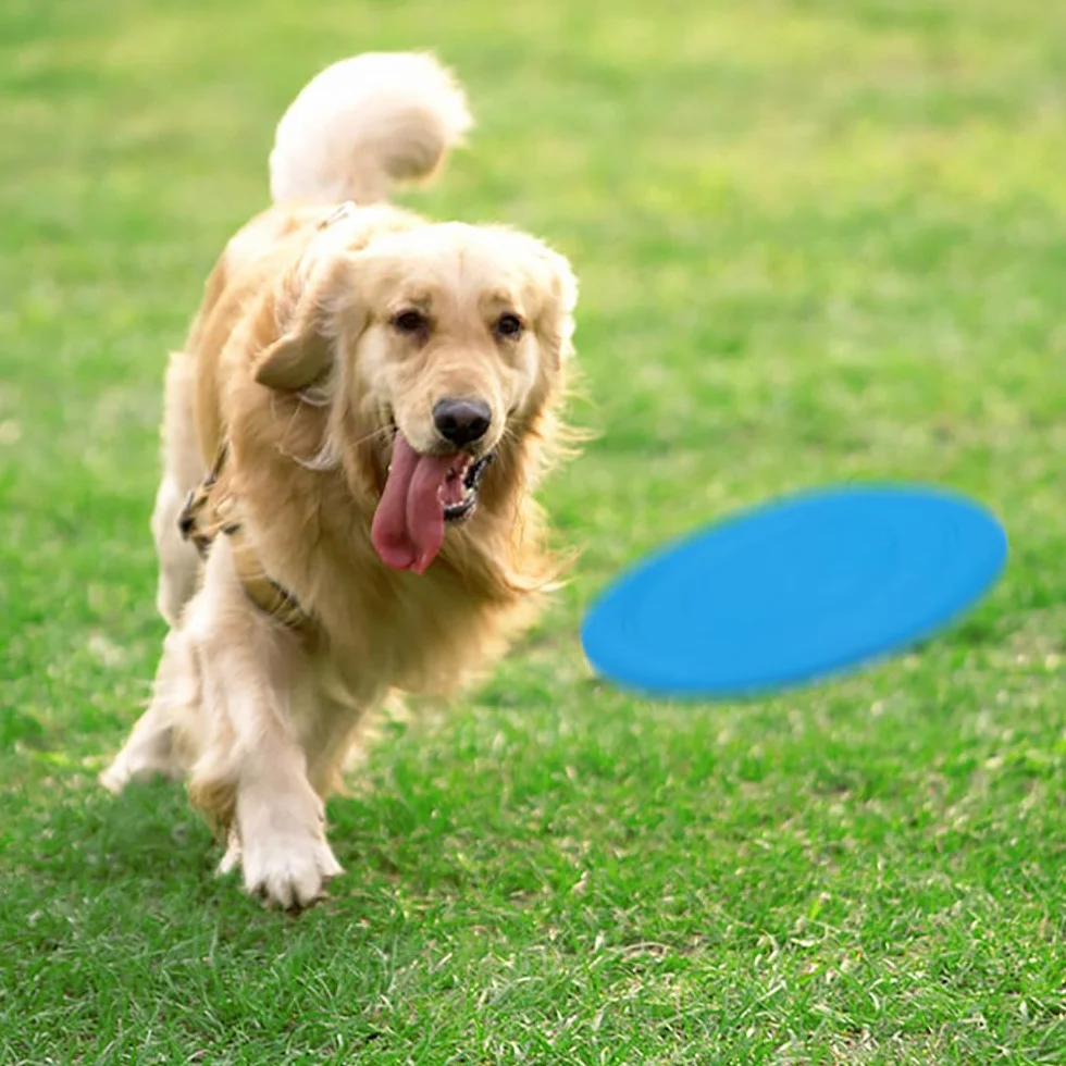 Frisbee, 6 sztuk frisbee, zabawka dla psa, krążek 17,8 cm, frisbee, duże psy, zestaw zabawek do treningu psa, rzucania, łapania i zabawy
