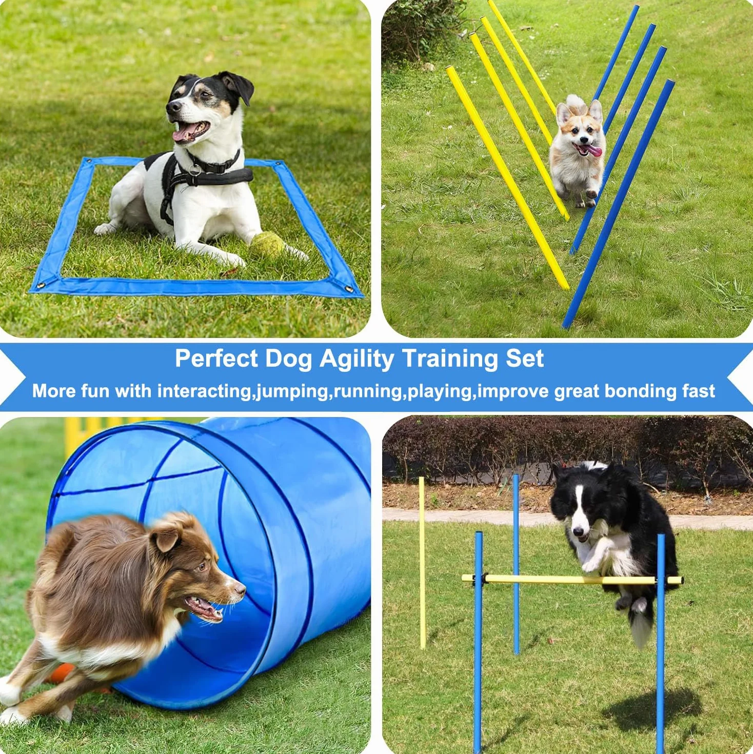 Zestaw agility dla psów, 8 przeszkód, tunel, pierścień, torba