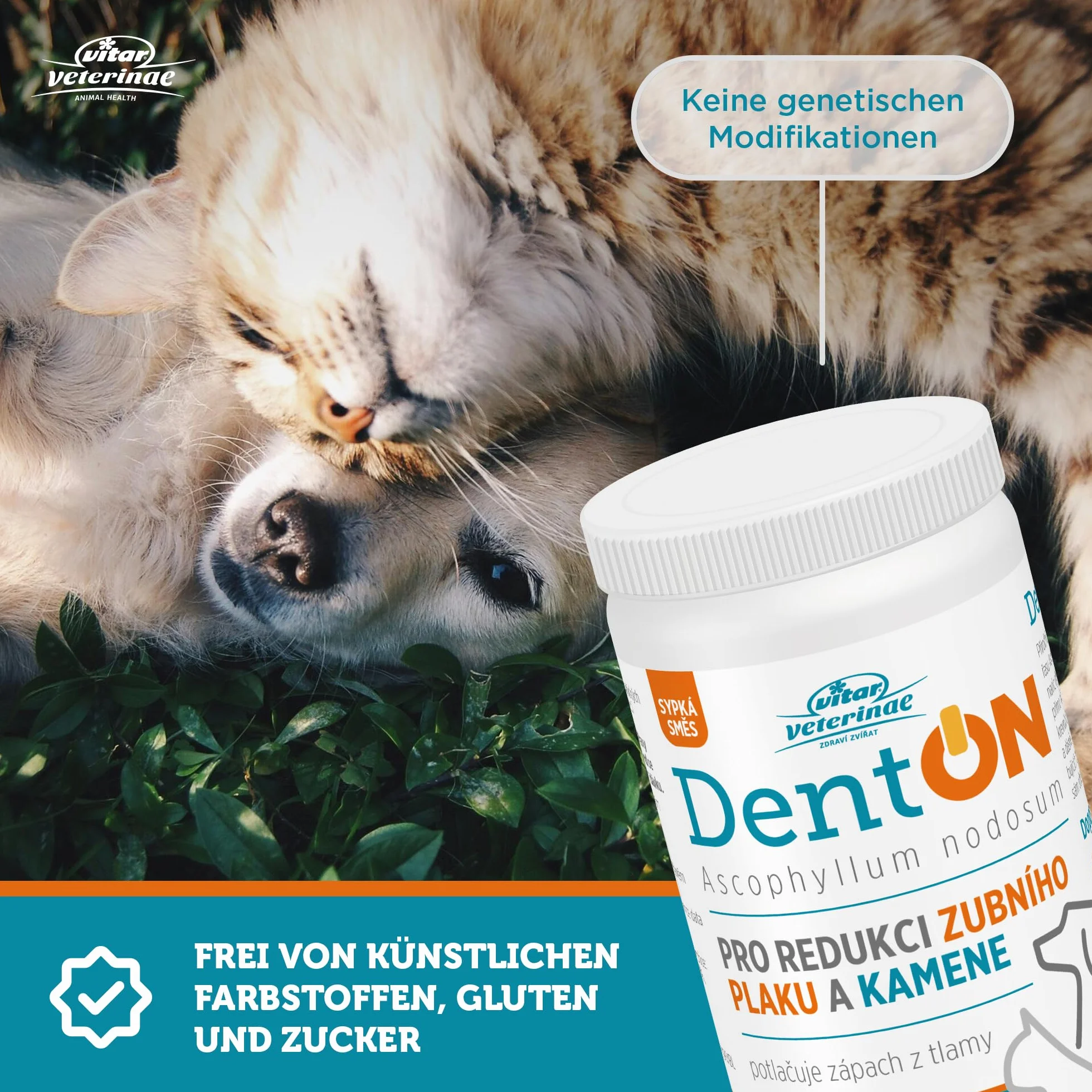 DentON 50 g na płytkę nazębną i kamień nazębny