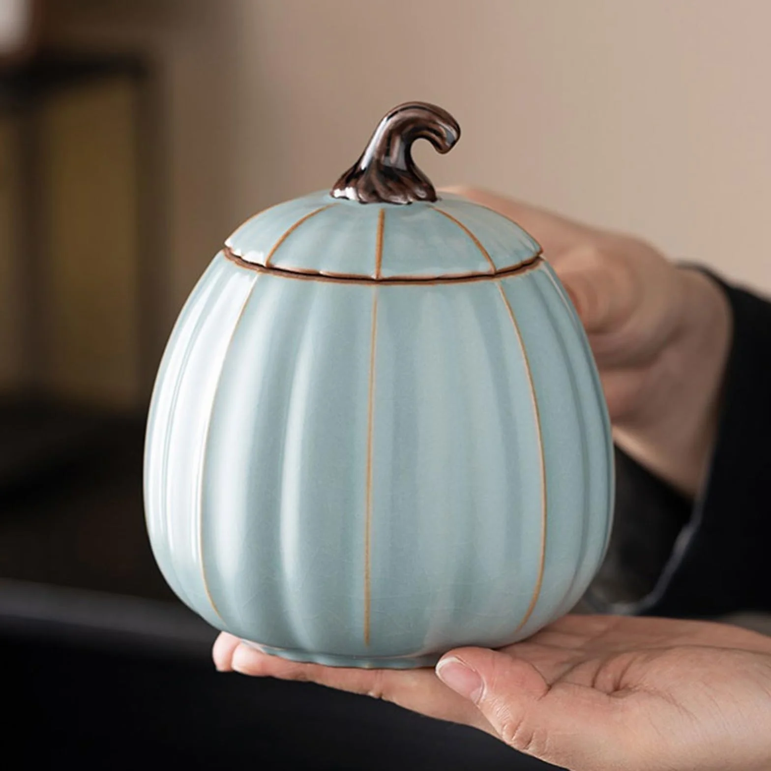 Puszki na herbatę Domowy słoik do przechowywania czarnej herbaty i zielonej herbaty Magazyn herbaty Ceramiczny słoik uszczelniający Duży słoik do przechowywania Pojemnik do przechowywania herbaty (Co