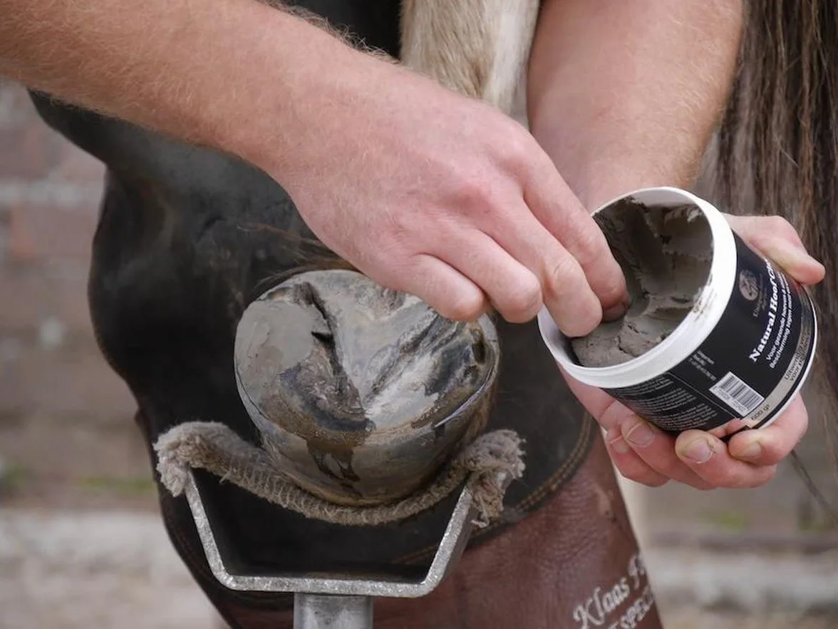 Natural Hoof Clay 600 g ochrona kopyt konia