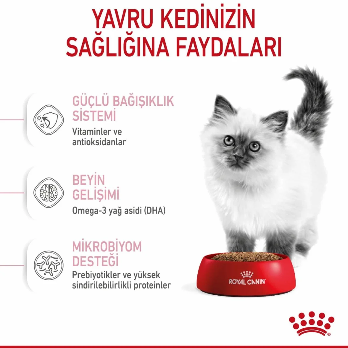 Royal Canin C-58430 Kot - 400 gr