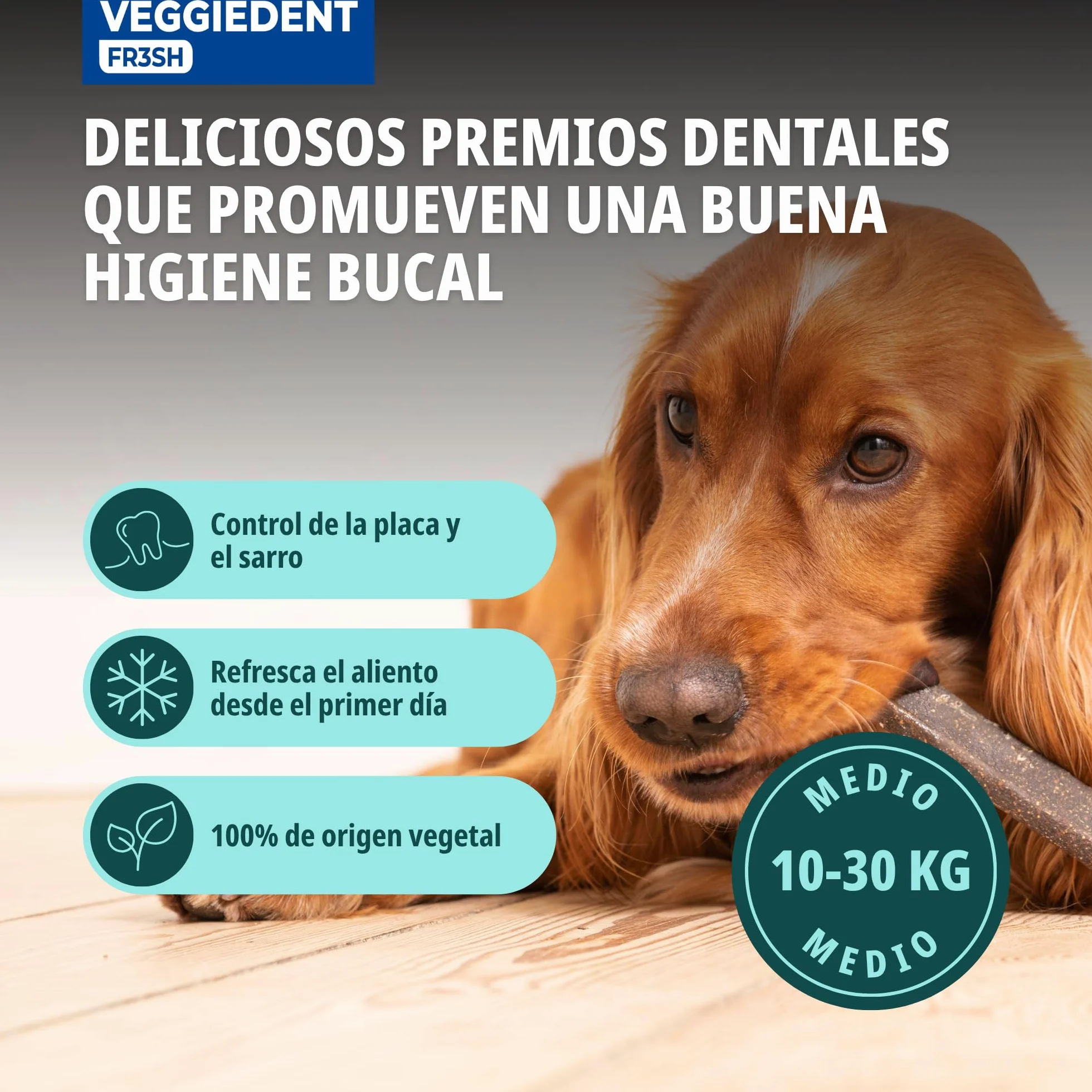 CET Żucia dla psów Veggie Dent Średni 10-30 kg