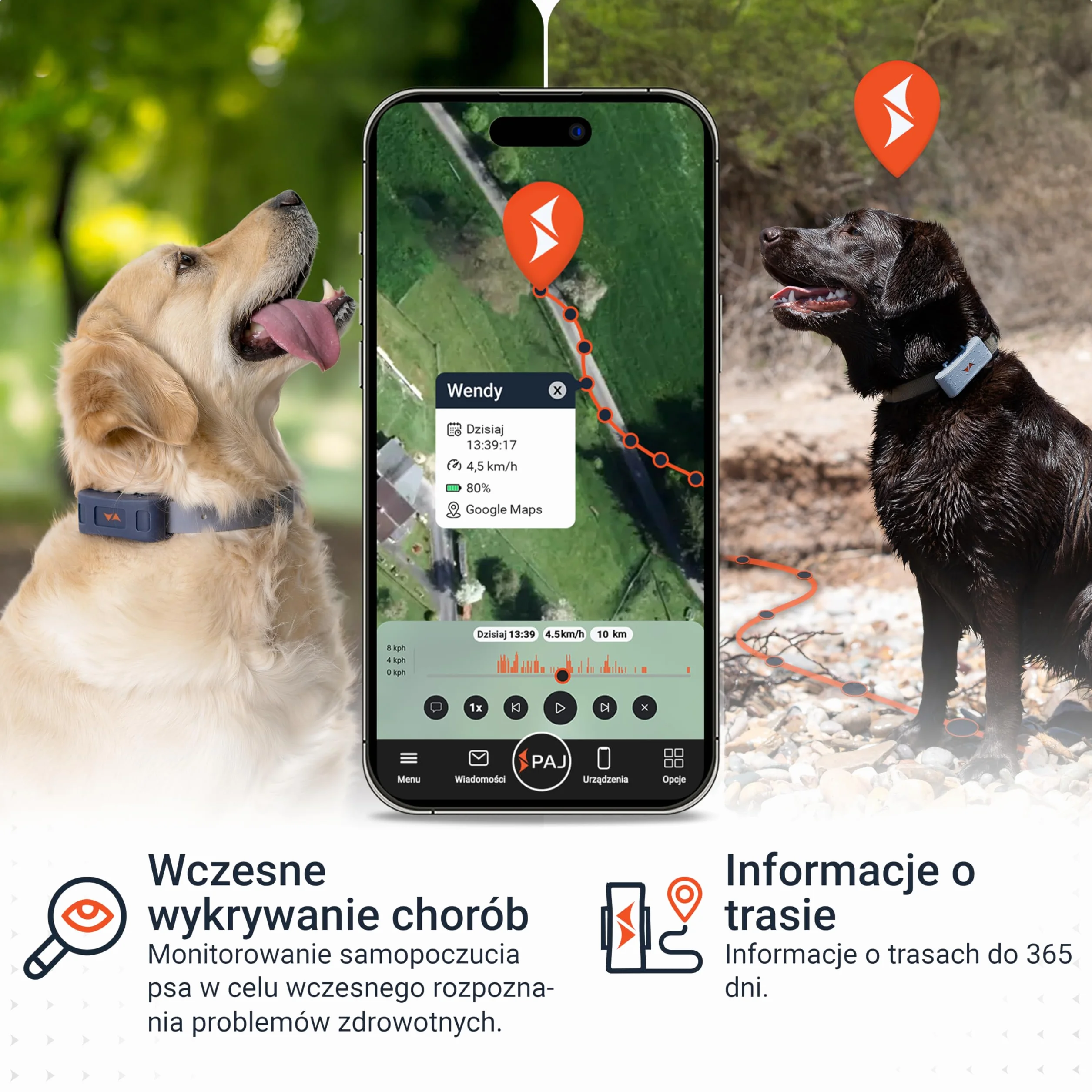 PAJ GPS Tracker dla Psów - 4G + 3-Miesięczny Abonament Premium W Cenie - Śledzenie GPS na Całym Świecie, Bateria do 10 Dni, LED, Wodoodporny, Pasuje do Wszystkich Obroży - Niebieski