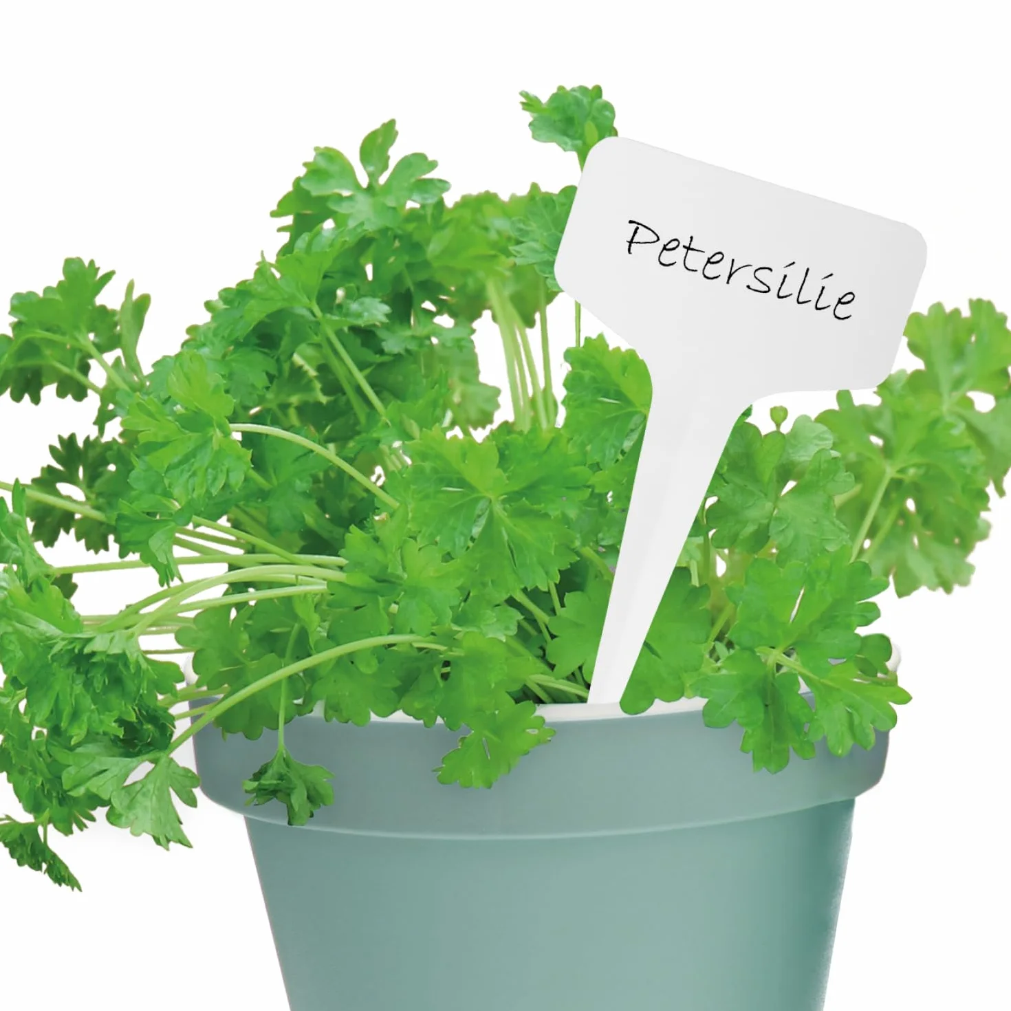 COM-FOUR® 100x tabliczki do roslin z markerami z podwójna koncówka - etykiety wtykowe 10 cm do pokojów, balkonów, ogrodów - wtyki do oznakowania roslin - wtyki uprawowe