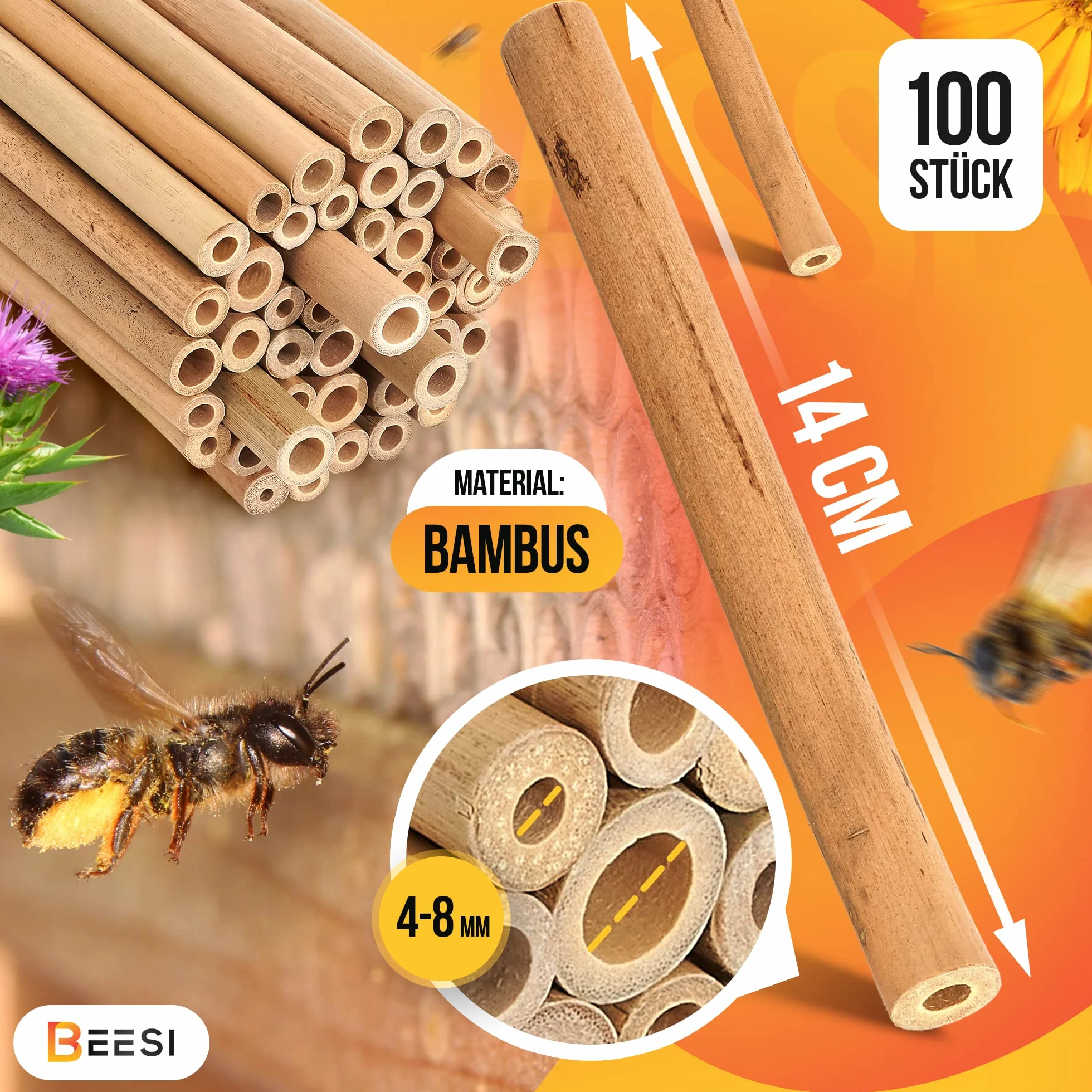 BEESI Rurki bambusowe do hoteli dla owadów, długość 14 cm, akcesoria dla dzikich pszczół (100 x bambus BEESI )