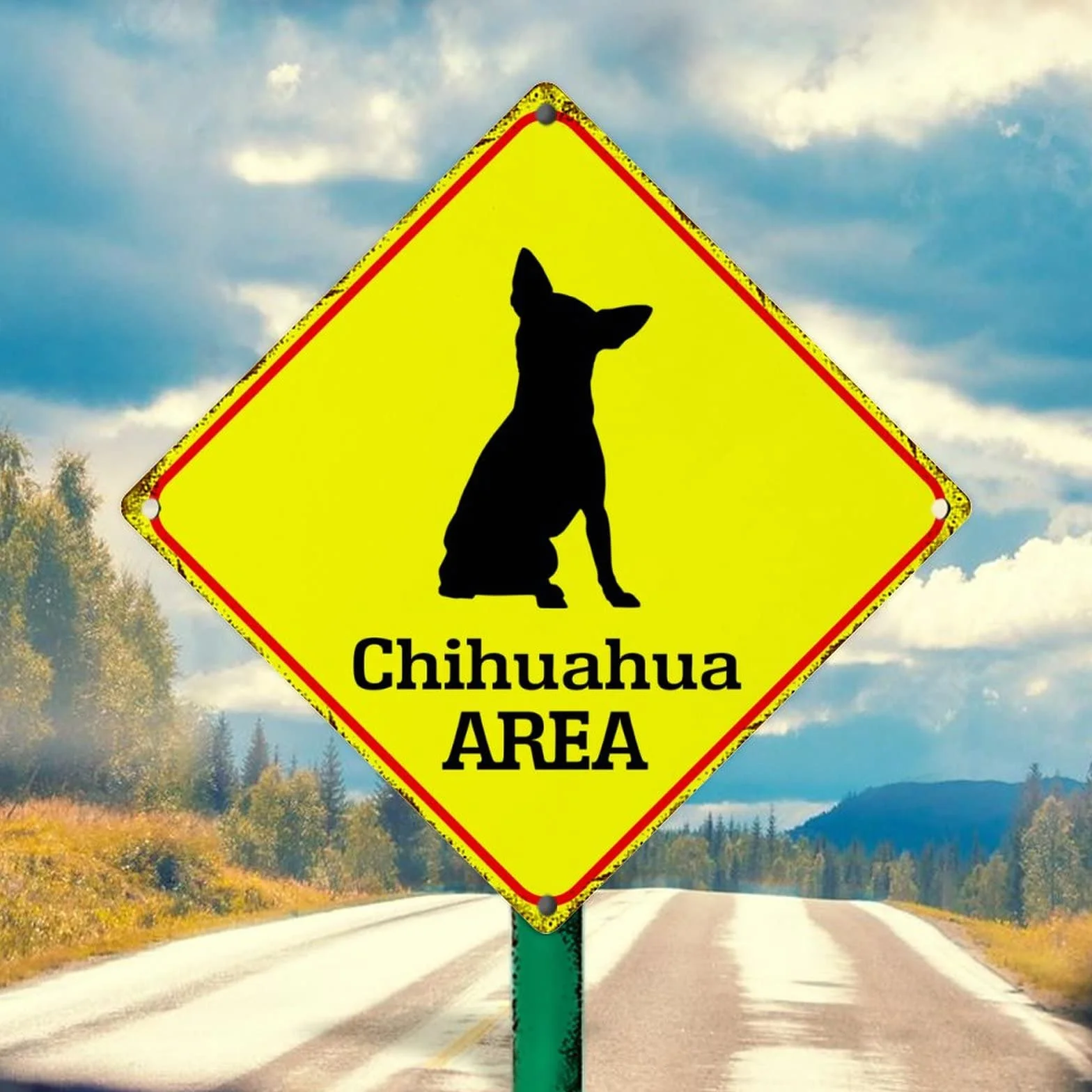 Uwaga Chihuahua Xing metalowy blaszany znak chihuahua pies obszar metalowy znak chihuahua przejście retro aluminiowe metalowe znaki żółty diament kształt znak na podwórko ulicę brama ogrodzenie 25 x 25 cm