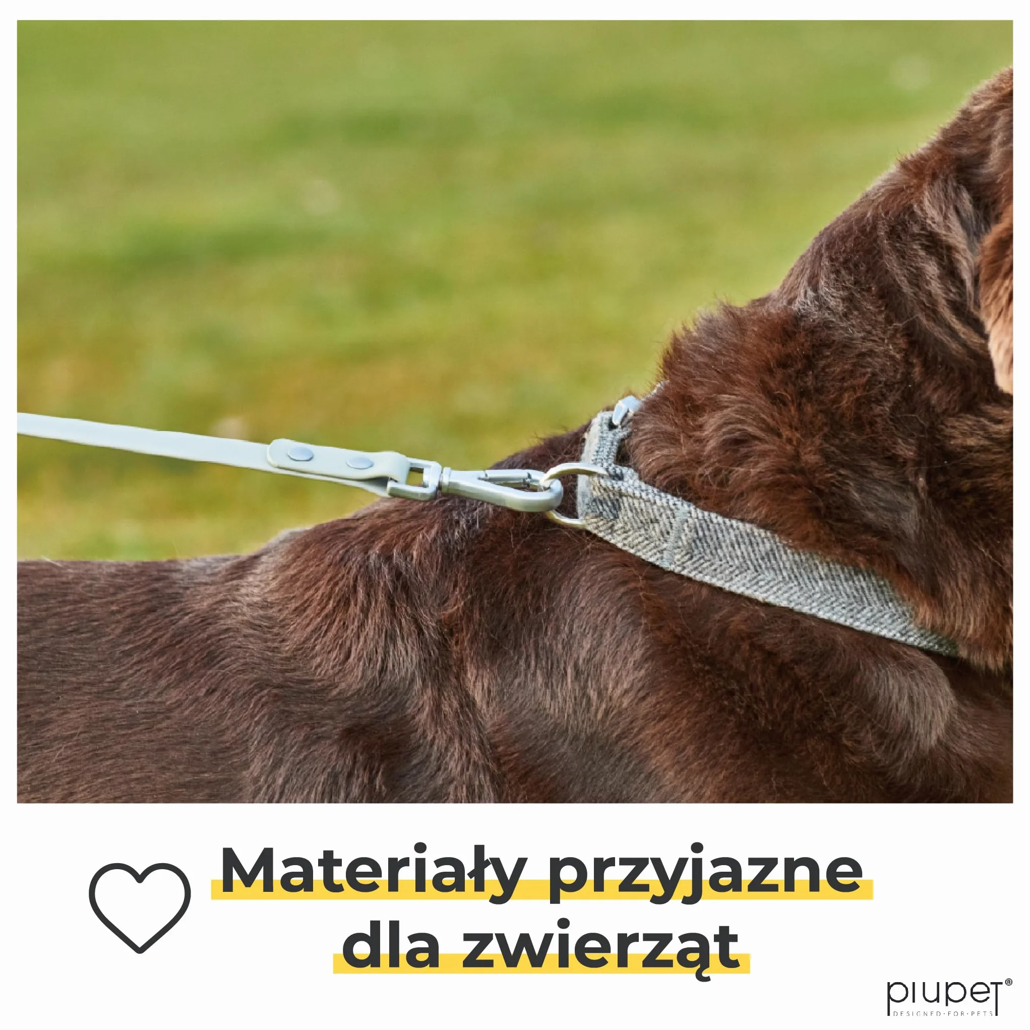 PiuPet Wodoodporny smycz holownicza dla psa 10m 20m
