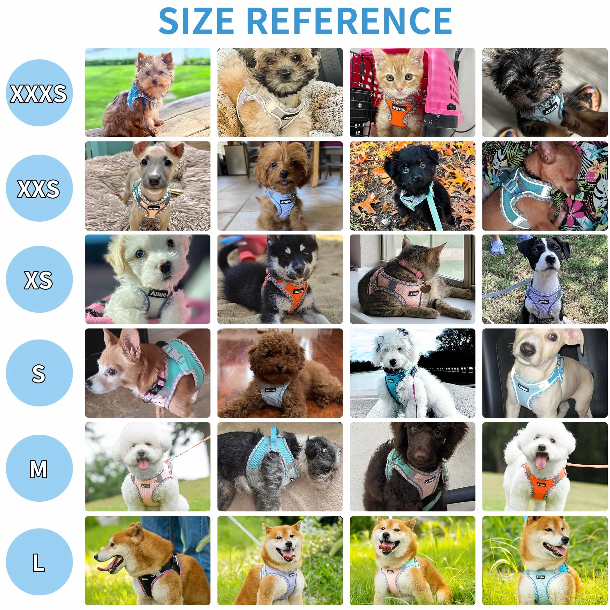 AIITLE uprząż odporna na ucieczkę dla psa – miękka tkanina żakardowa, regulowana, dla Boston Terrier i pekińczyk