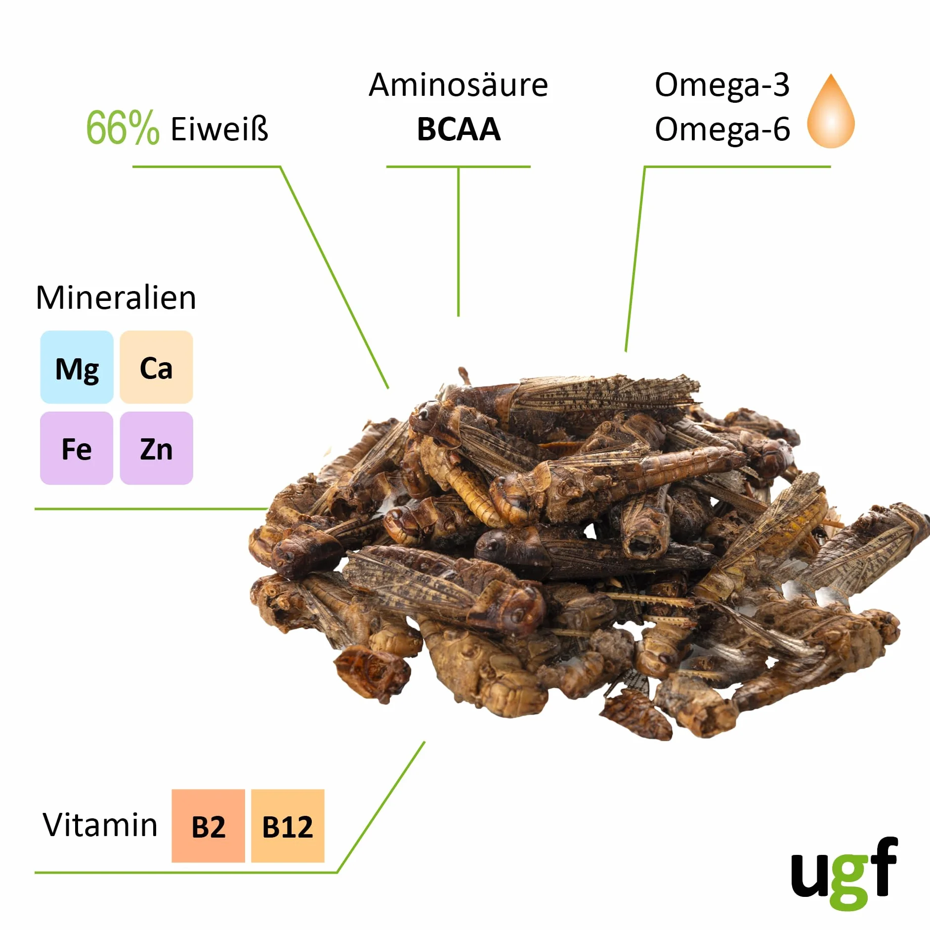 UGF suszone koniki polne 65 g wiadro 500 ml karma dla gadów gryzoni jeży jaszczurek dzikich ptaków