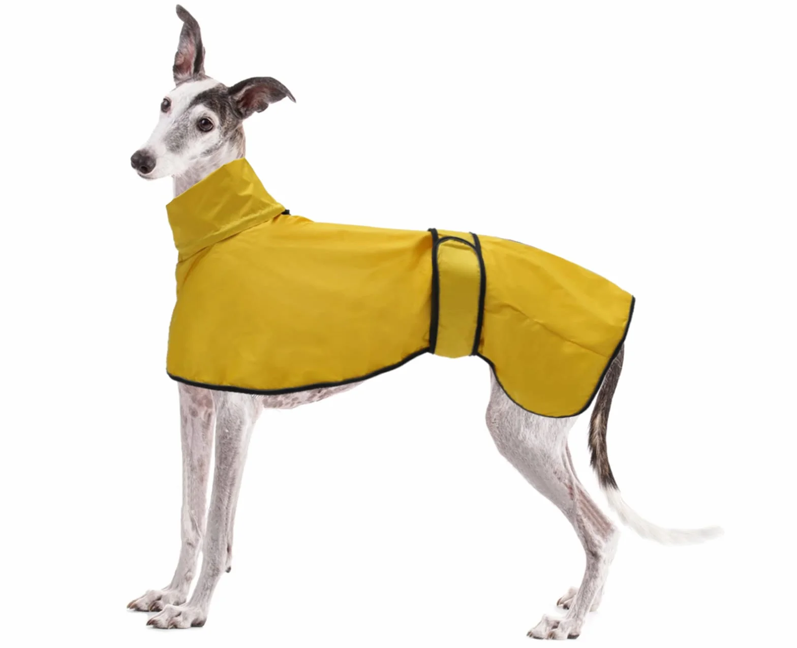 Regulowany płaszcz przeciwdeszczowy z odblaskowymi paskami i otworem na uprząż dla charta, Lurchers and Whippets - Żółty - Rozmiar XXXL