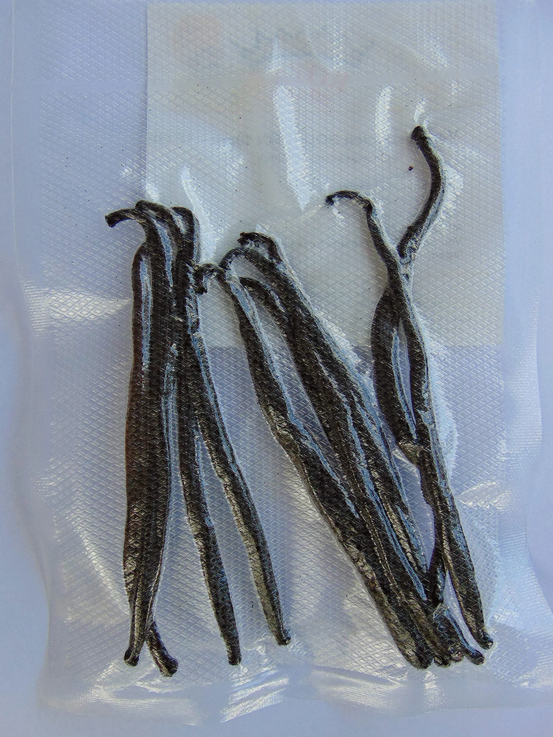 Laski wanilii 10 stuk 10-12 cm