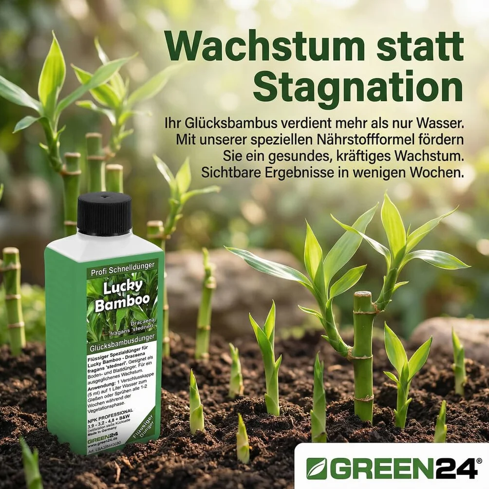 GREEN24 Lucky Bamboo nawóz na szczęście, specjalny nawóz High-TTech NPK, profesjonalna linia do nawożenia bambusa Dracaena sanderiana
