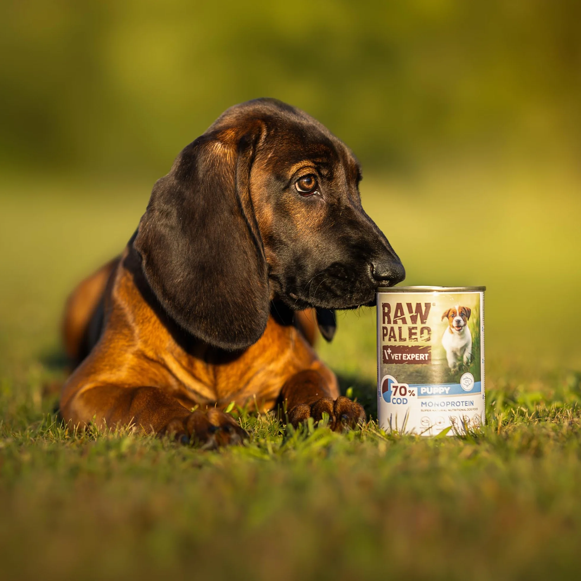 PUPPY COD 1x400g - mokra karma dla szczeniąt monoproteina z dorszem