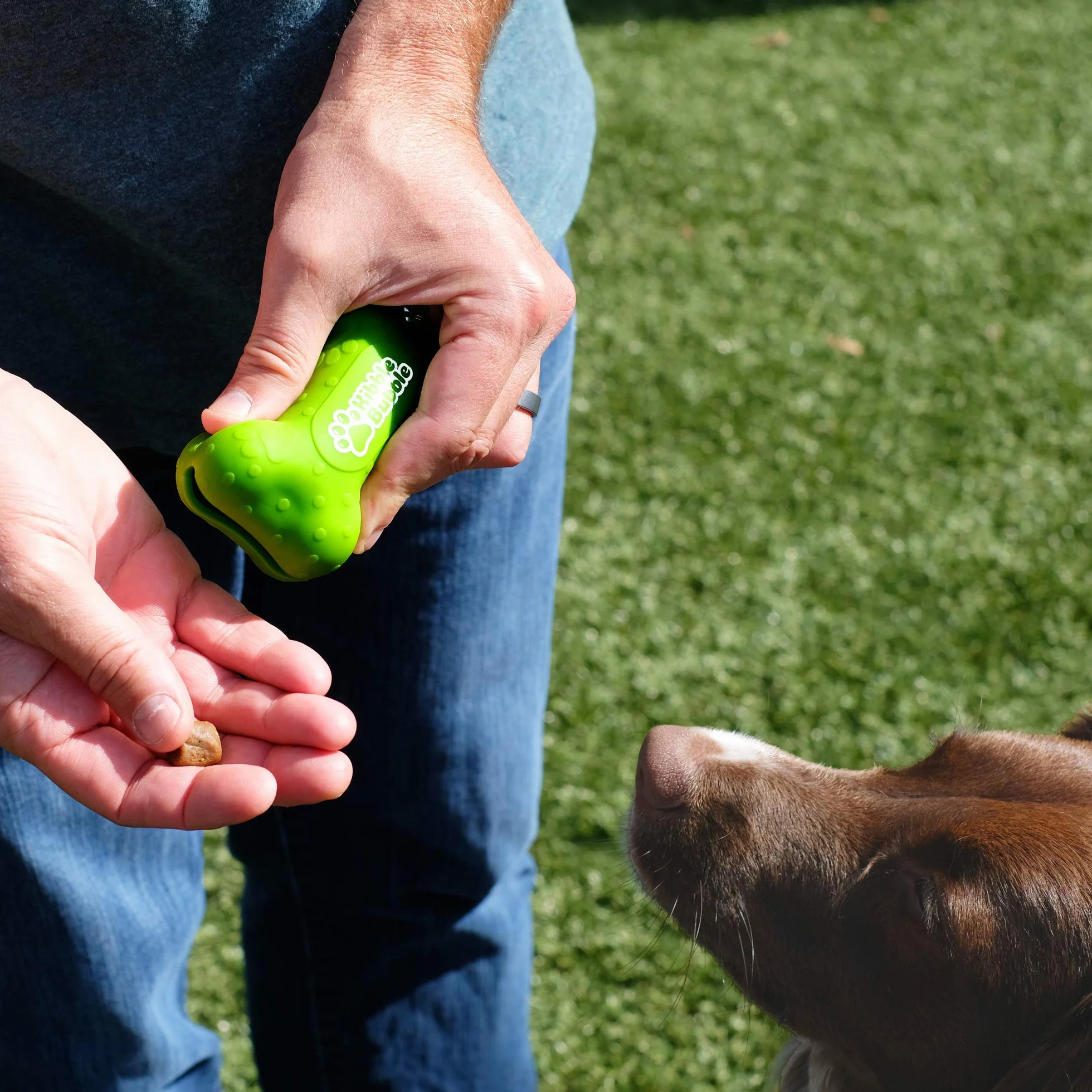 Dog Treat Pouch Bone Green