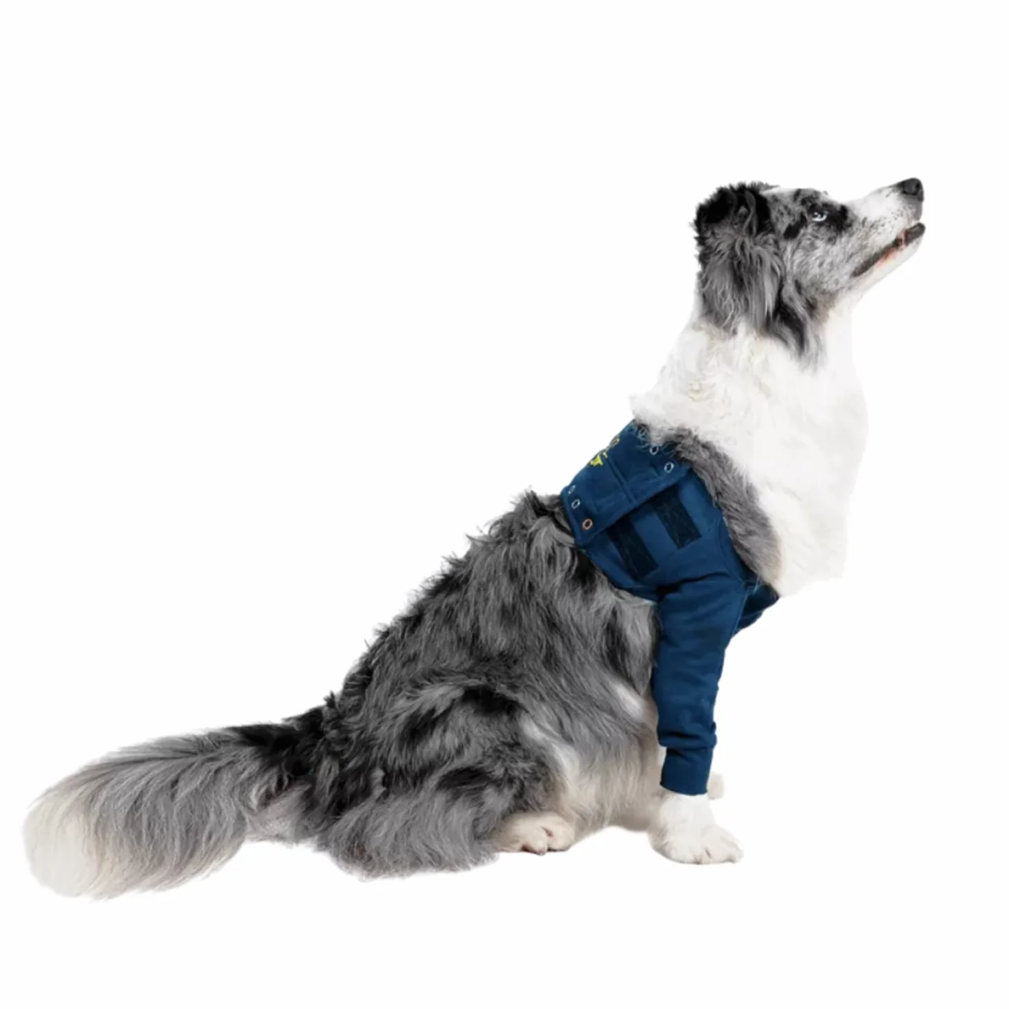 MPS Medical Pet Shirt Taz rękaw z przodu nogi dla psa XXX-Small