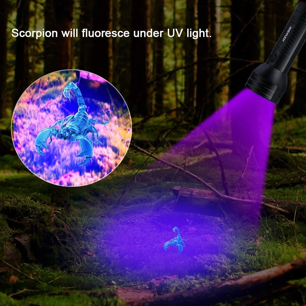 Latarka UV, latarka UV 395 nm do wykrywania moczu zwierząt domowych na dywanie, przenośna błyskowa do plam kuchennych, fluorescencji odzieży, polowanie na skorpiona, fałszywe banknoty (51 LED)