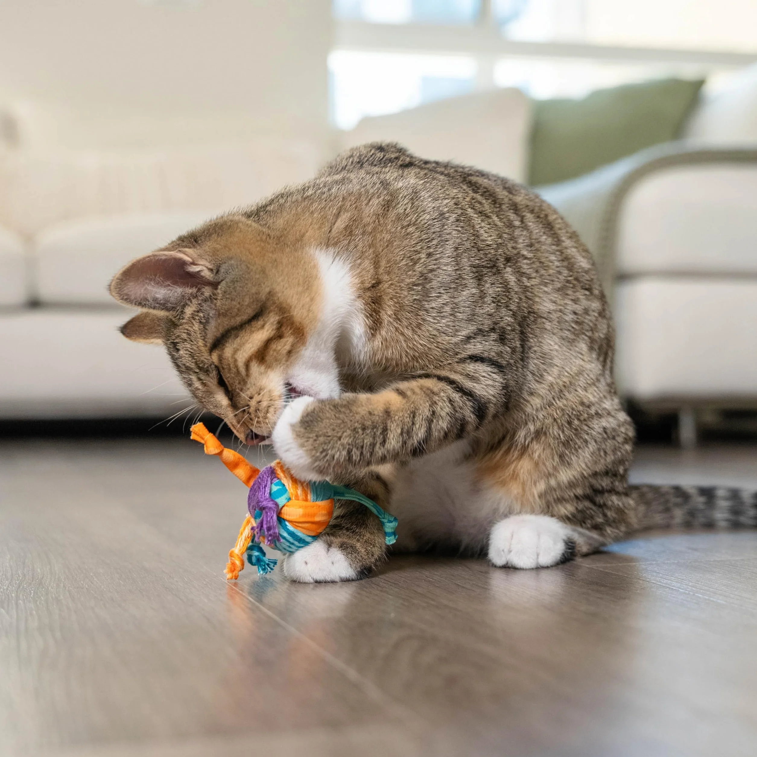 Petstages Tons of Tails - Dentystyczna zabawka dla kotów - z kocimiętką - wielobarwna
