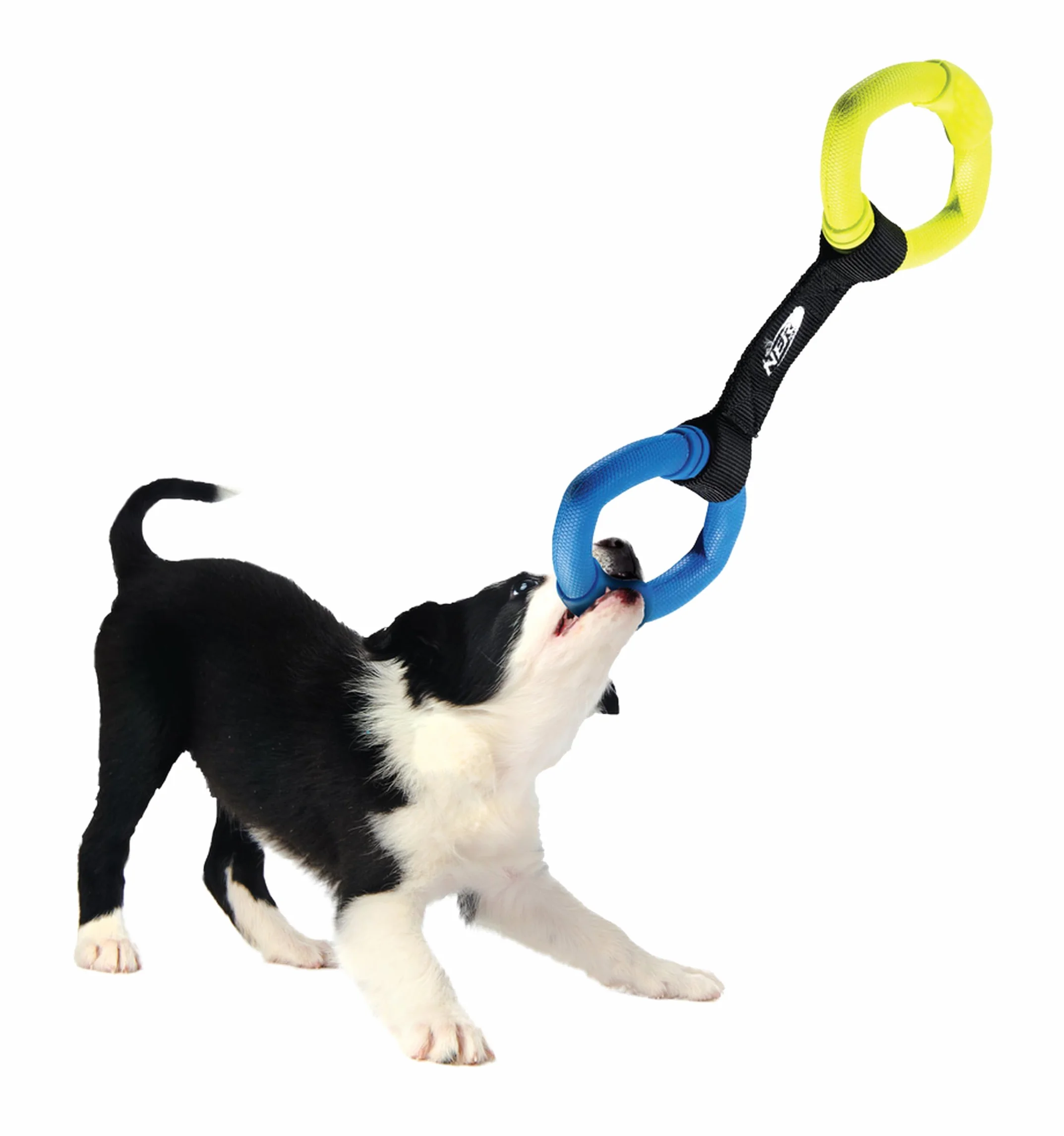 Nerf Dog Zabawka dla psa 2 pierścienie Strap Tug, wielokolorowa