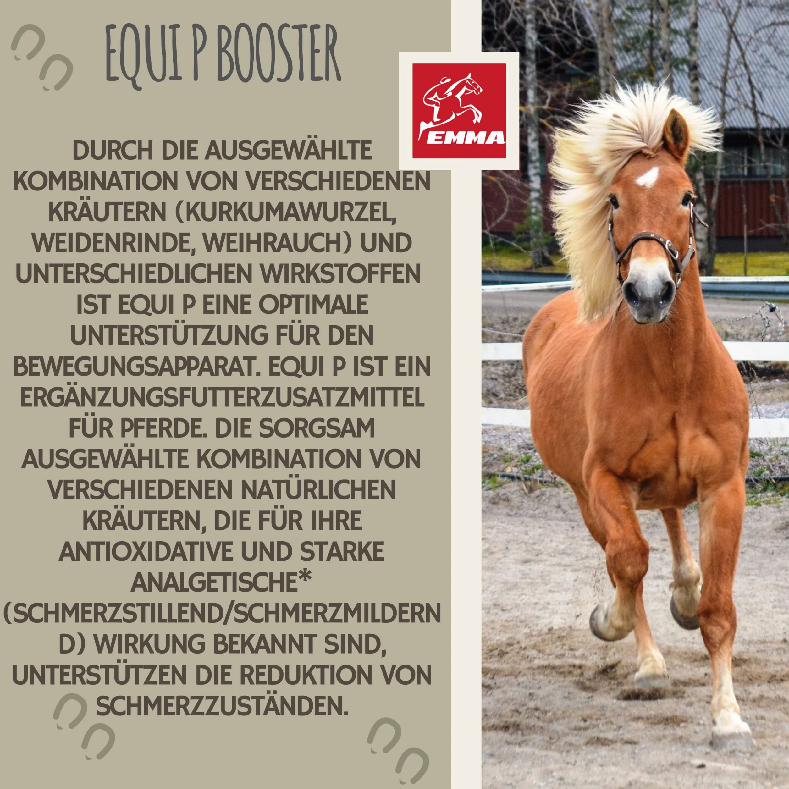 Equi P Pasta witaminowa Plus Glukozamina Chondroityna dla stawów ścięgna więzadła chrząstka 1 szt