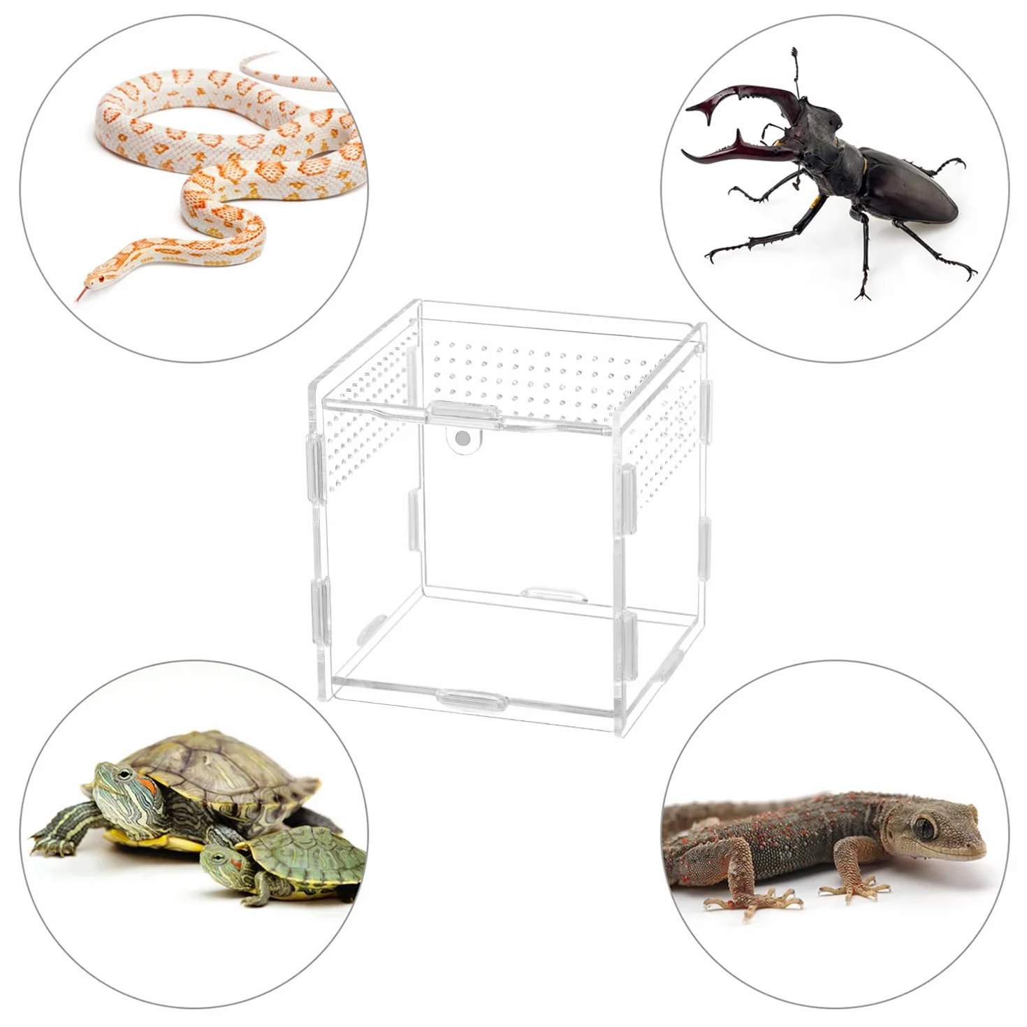 QWORK® pudełko do karmienia gadów z akrylu, przezroczysty akrylowy terrarium do owadów, 9,5 x 9 x 9 cm dla modliszek, pająków, jaszczurek, ślimaków