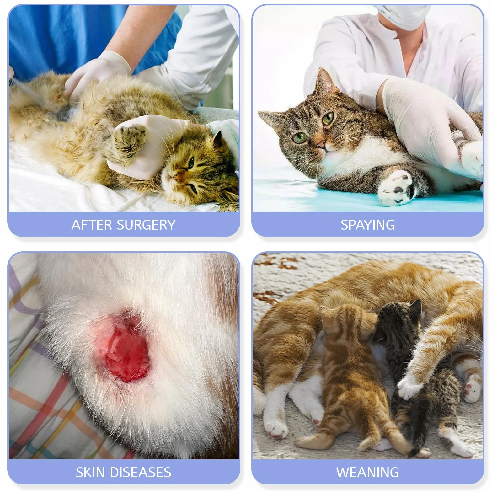 YUXIANLB 1 szt. kombinezon do regeneracji kota kotek chirurgiczny spay garnitur oddychający kołnierz E alternatywna piżama kotek ubrania po operacji kobieta mężczyzna rany brzucha Onesie Anti Licking