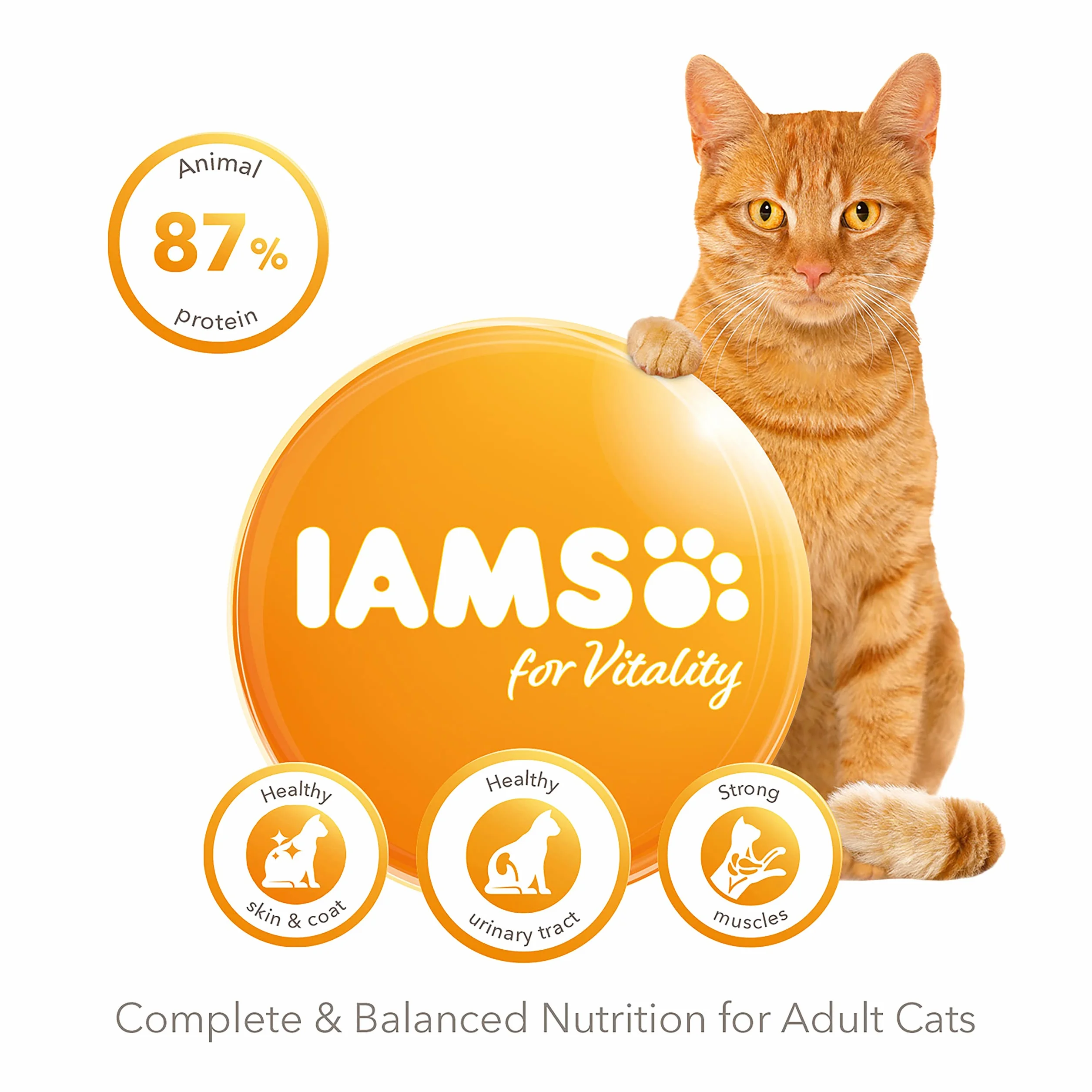 IAMS Sucha karma dla kotów z kurczakiem 3 kg 1-6 lat