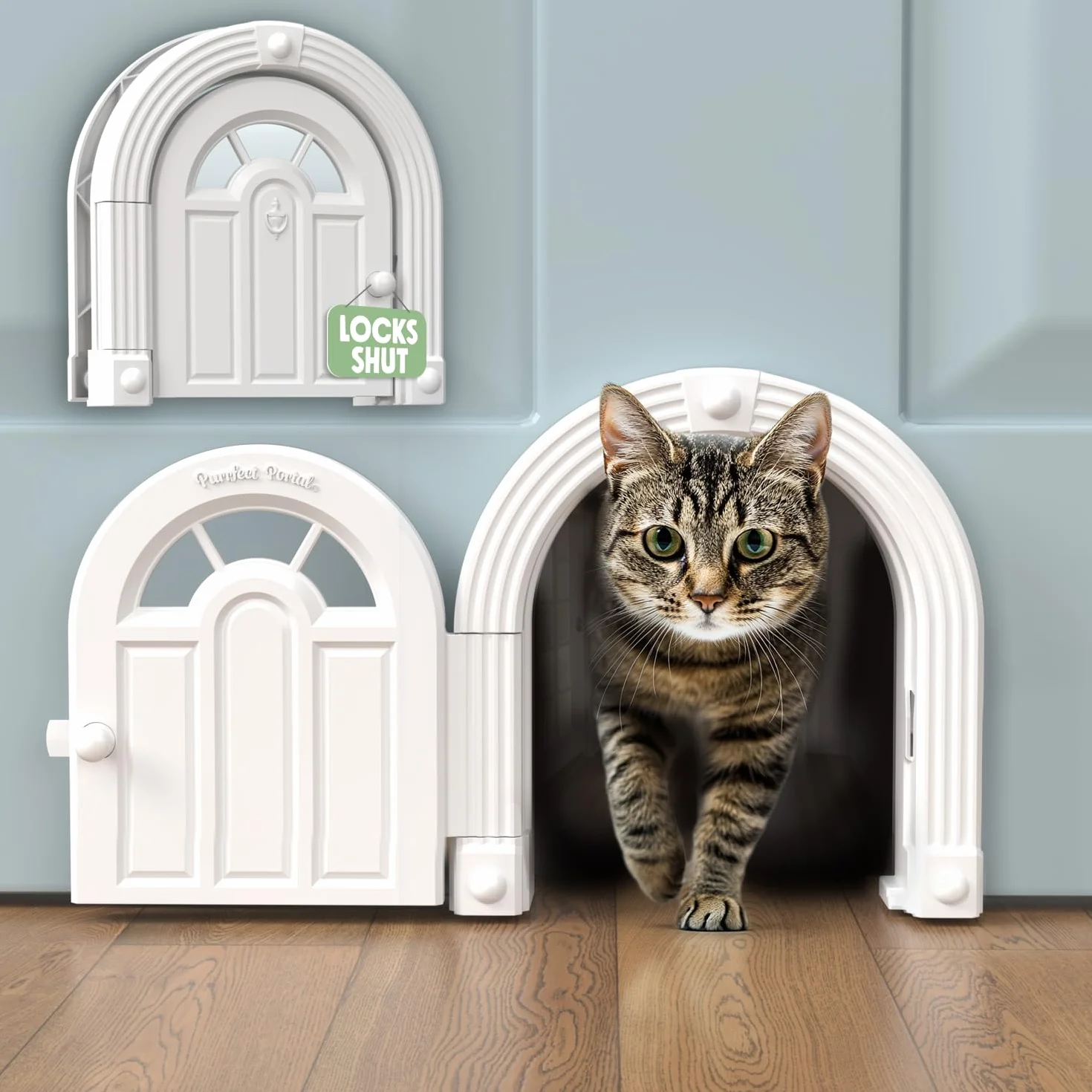 Purrfect Drzwi dla kota – drzwi wewnętrzne bez klapy dla kotów o wadze do 9 kg, łatwa konfiguracja DIY, bezpieczna instalacja w ciągu kilku minut, nie wymaga treningu