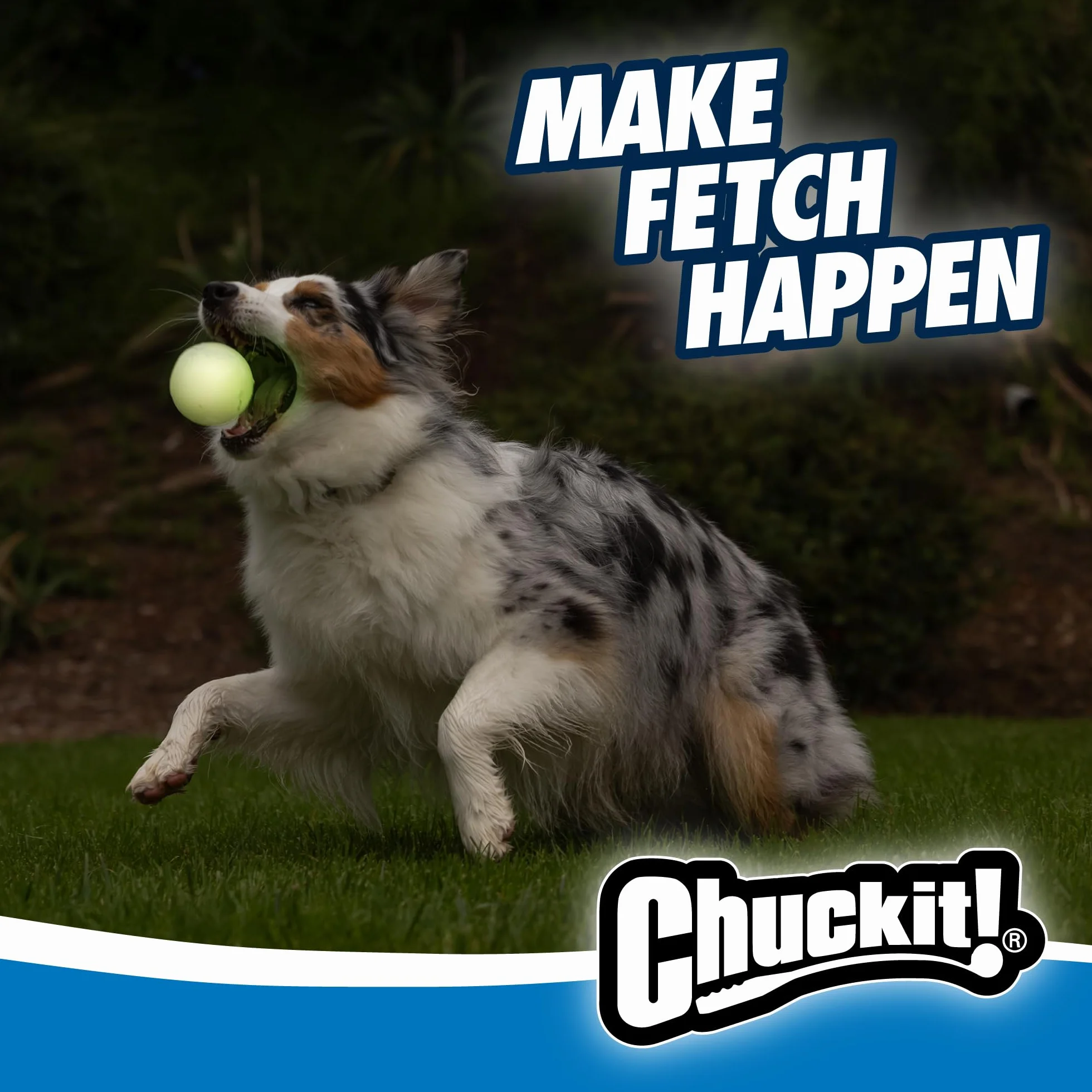 Chuckit! PET8969 Piłki dla Psa, 2 Sztuki, Biały